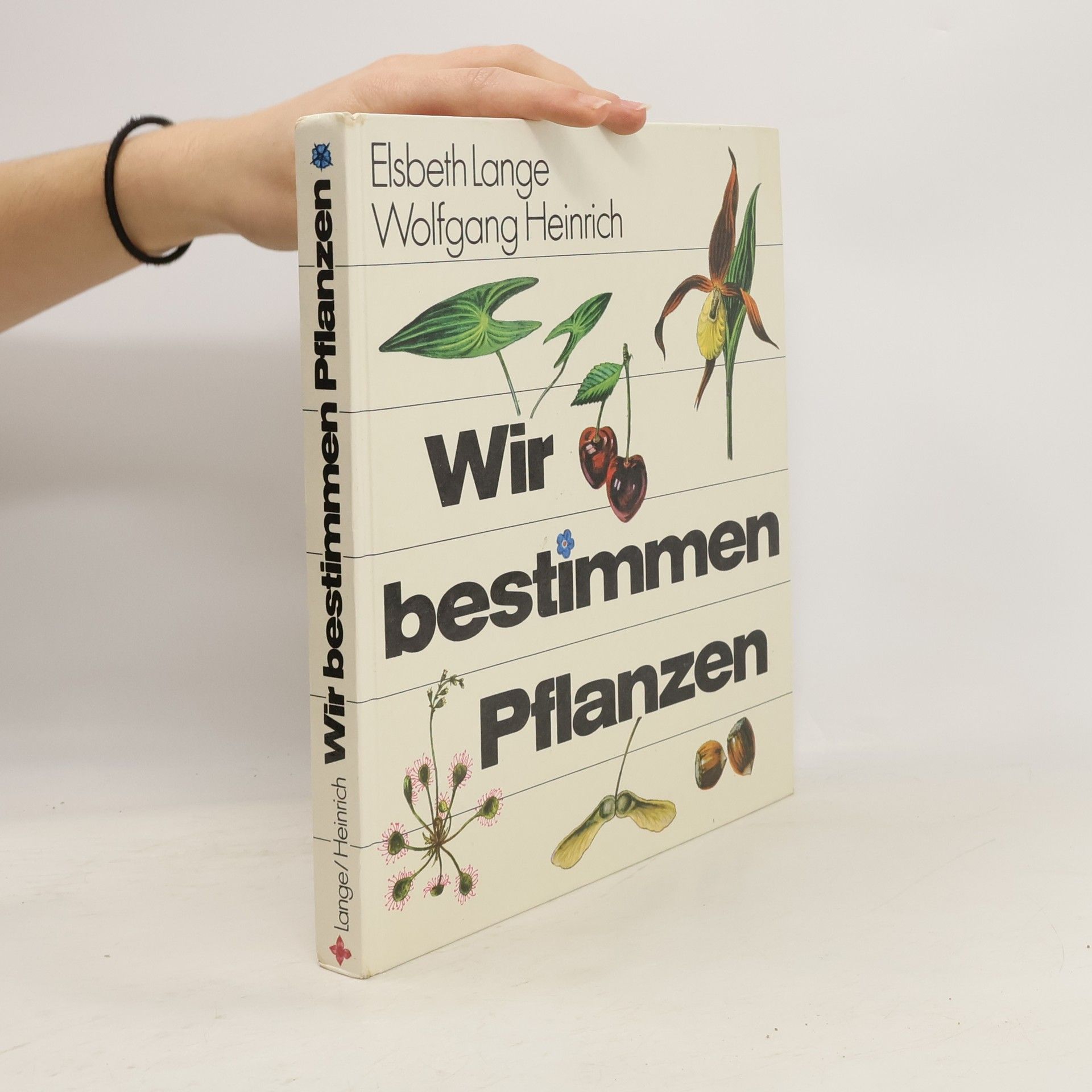 Wolfgang Heinrich Wir bestimmen Pflanzen