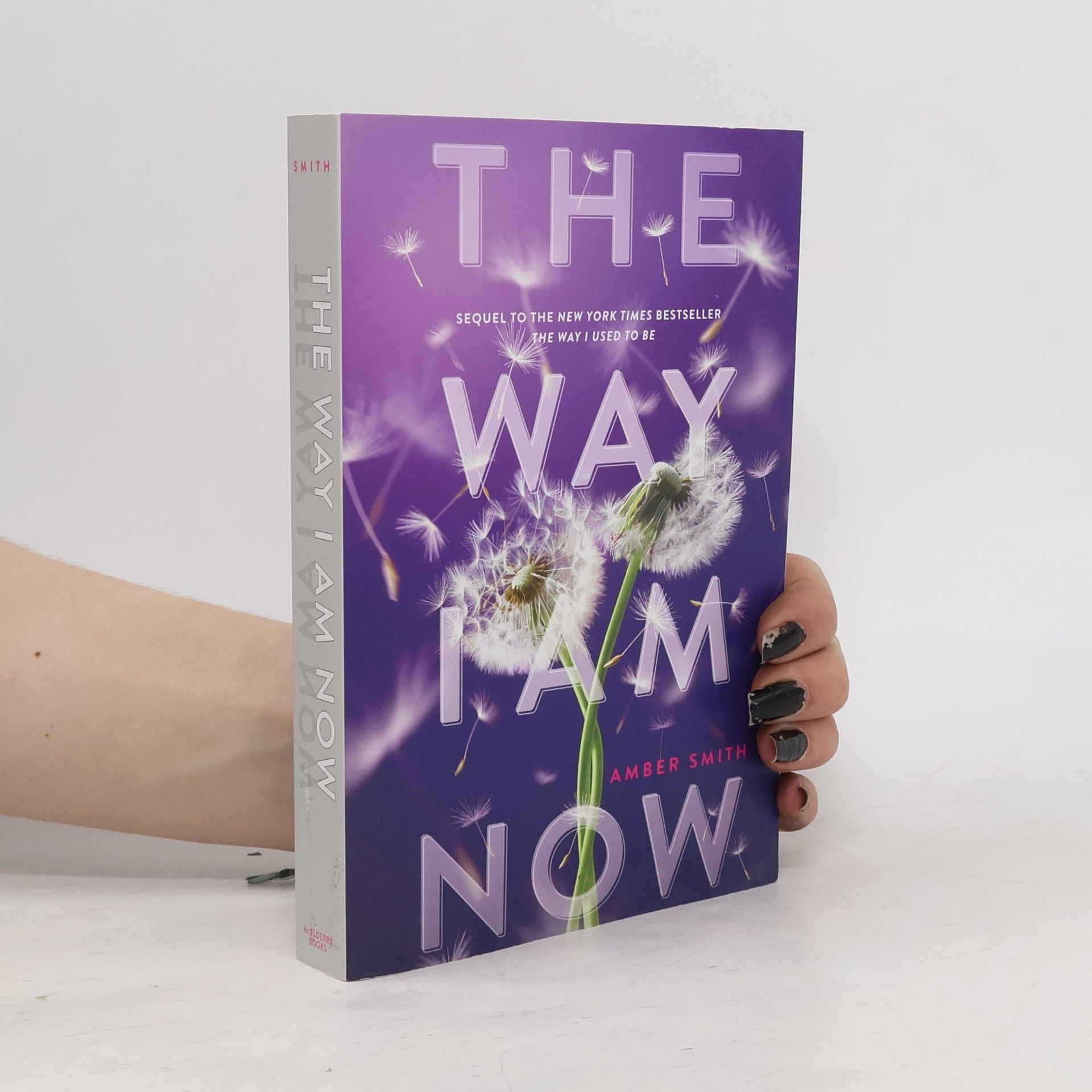 Amber Smith The Way I Am Now