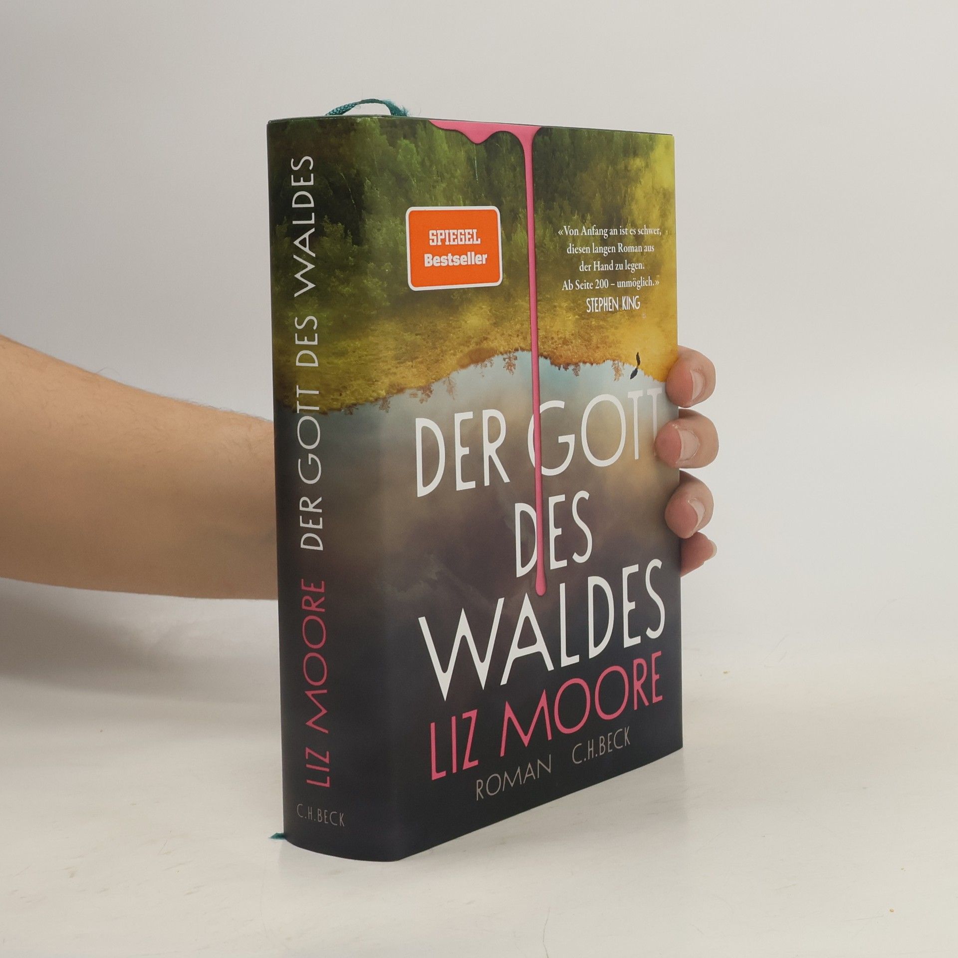 Liz Moore Der Gott des Waldes