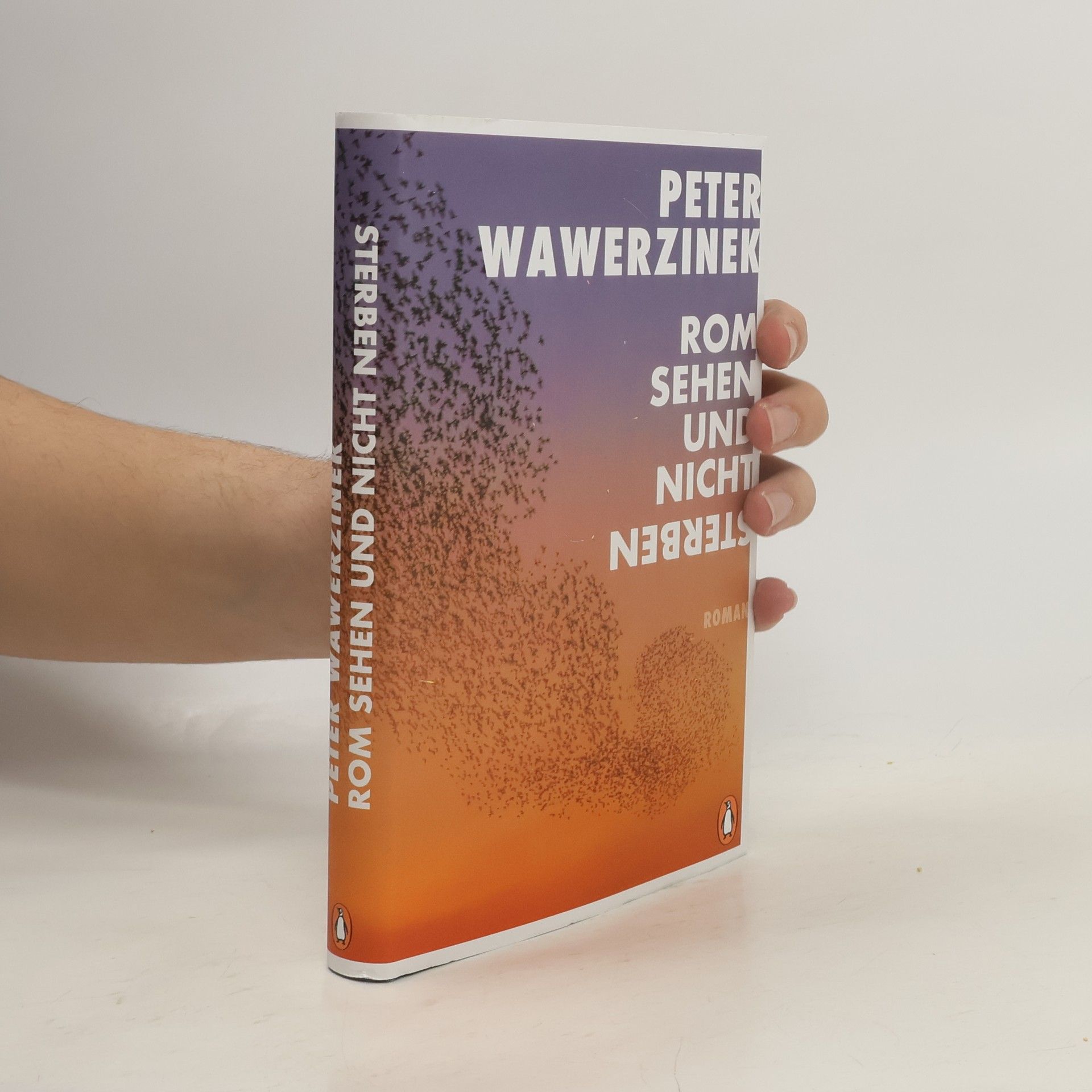 Peter Wawerzinek Rom sehen - und nicht sterben