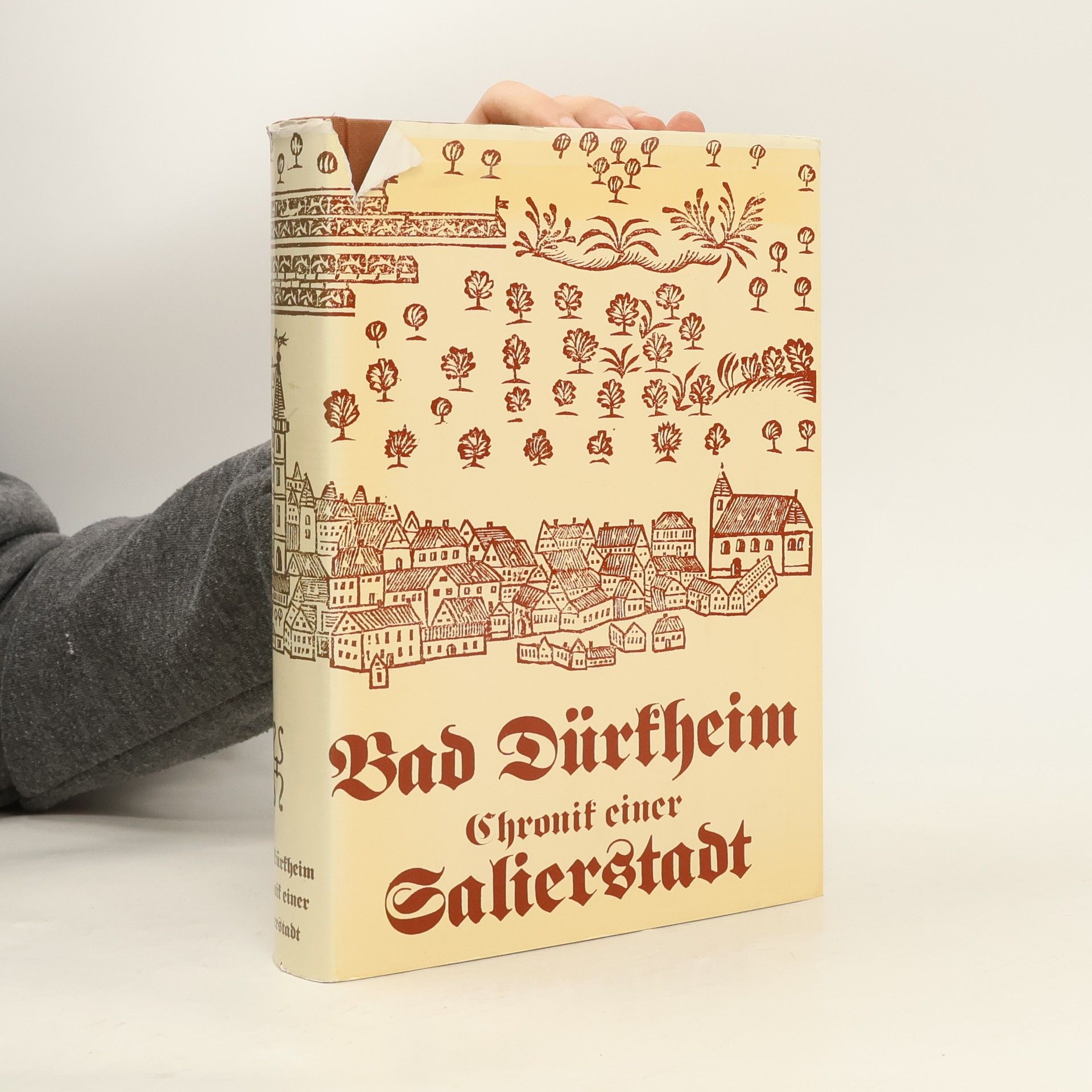 Autorenkollektiv Bad Dürkheim. Chronik einer Salierstadt