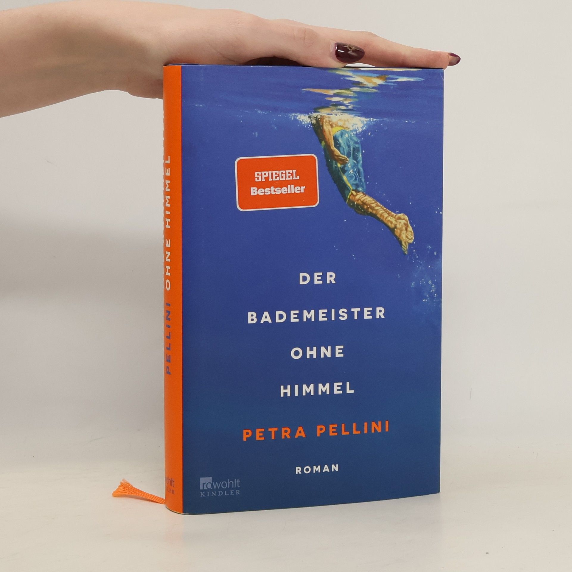 Petra Pellini Der Bademeister ohne Himmel