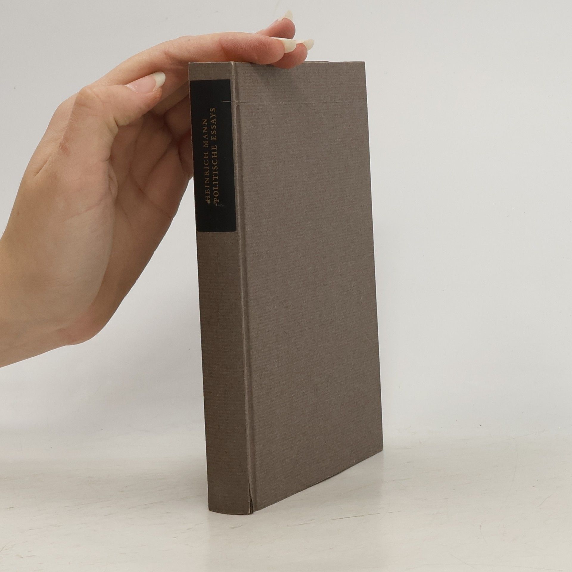 Heinrich Mann Politische Essays