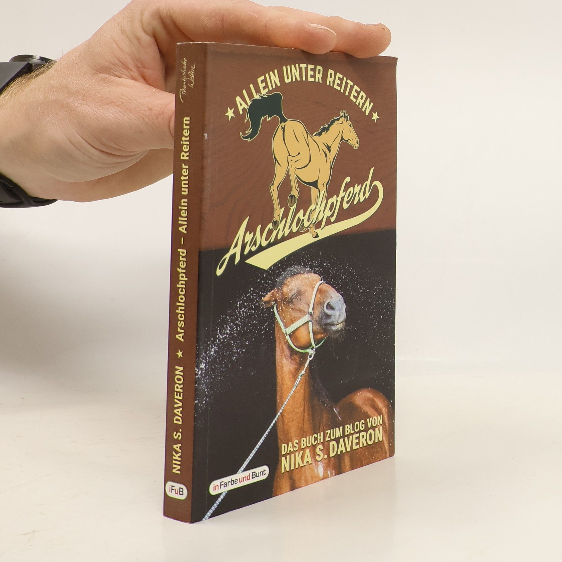 Allein unter Reitern