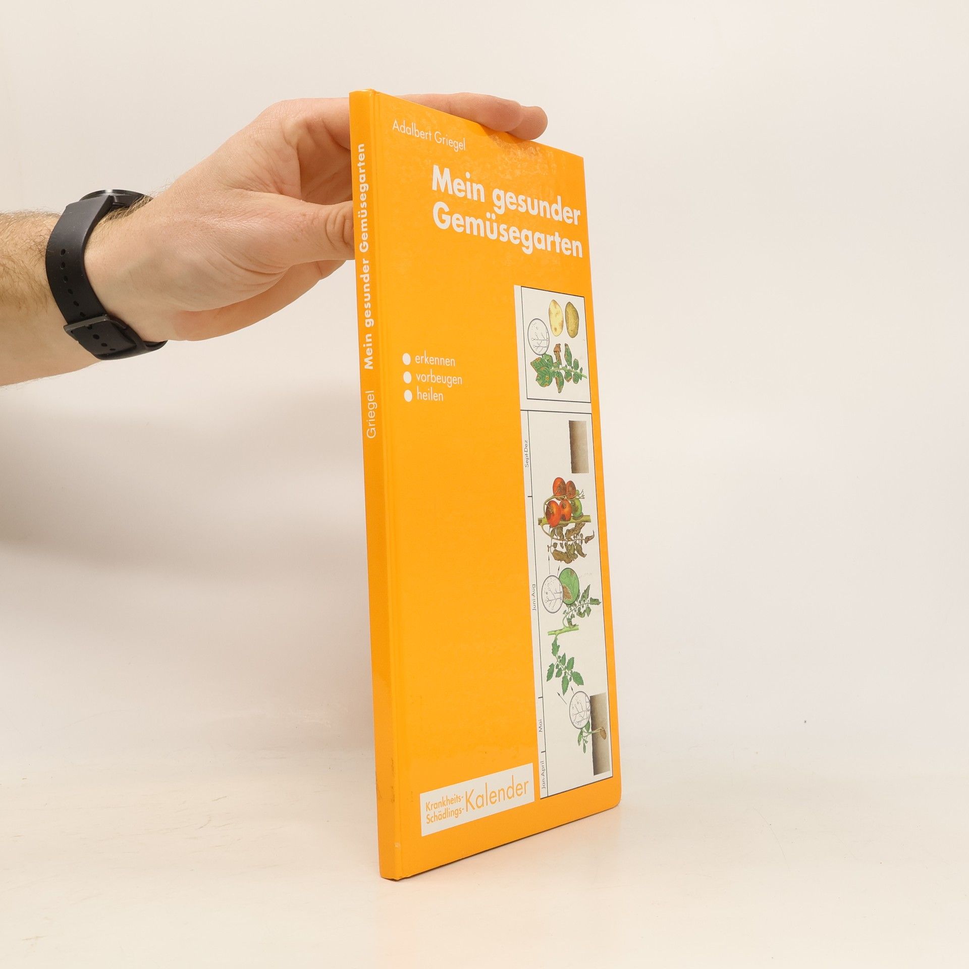 Mein gesunder Gemüsegarten