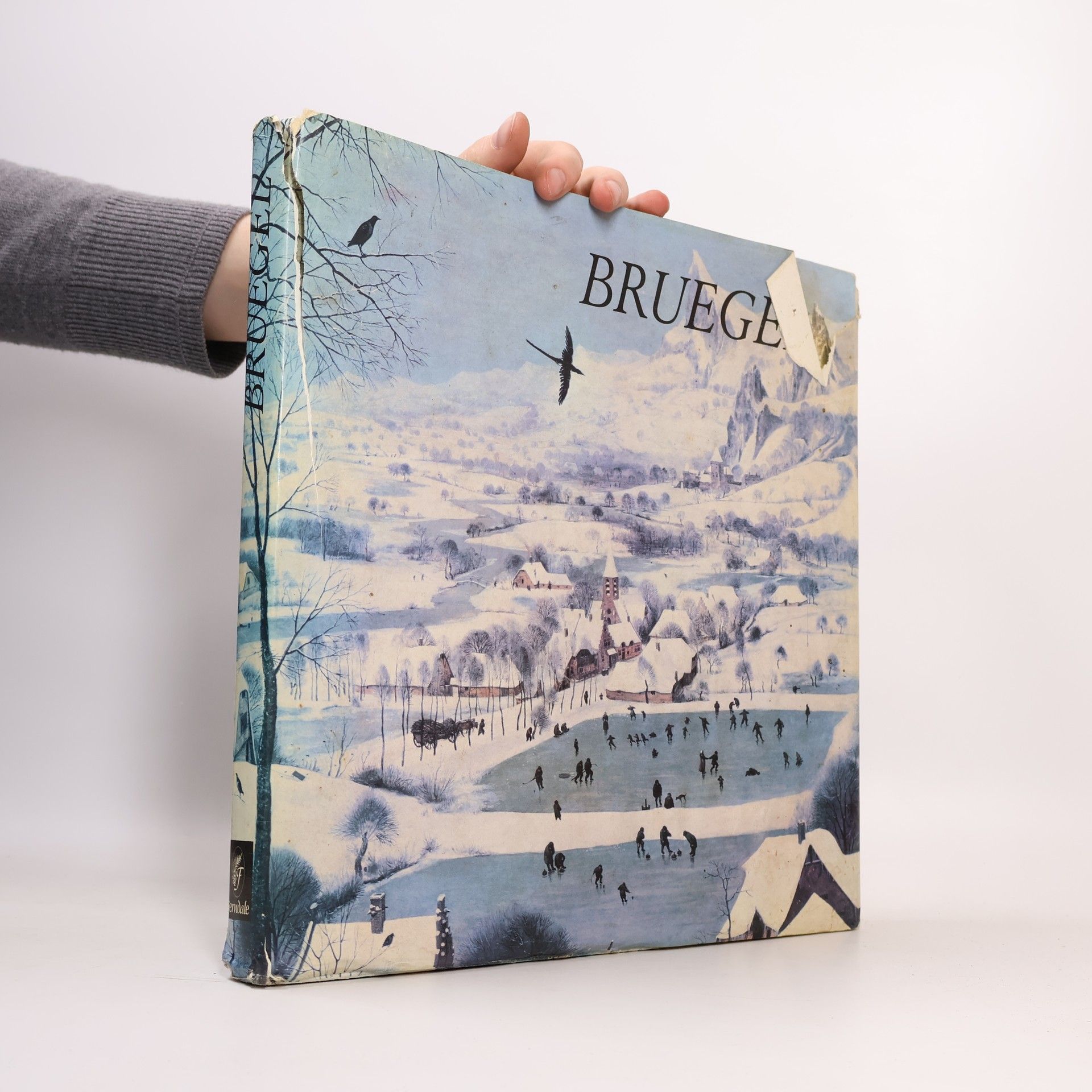 Claude Mettra Bruegel