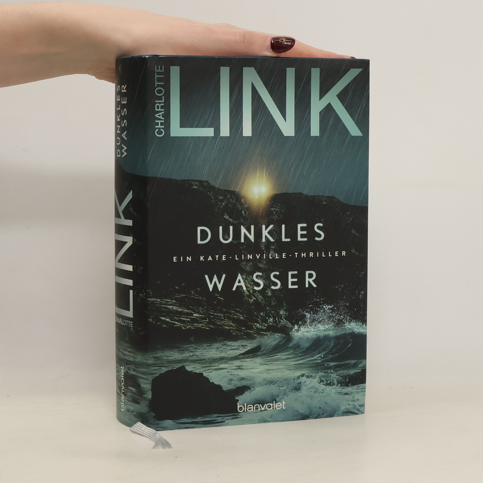 Charlotte Link Dunkles Wasser