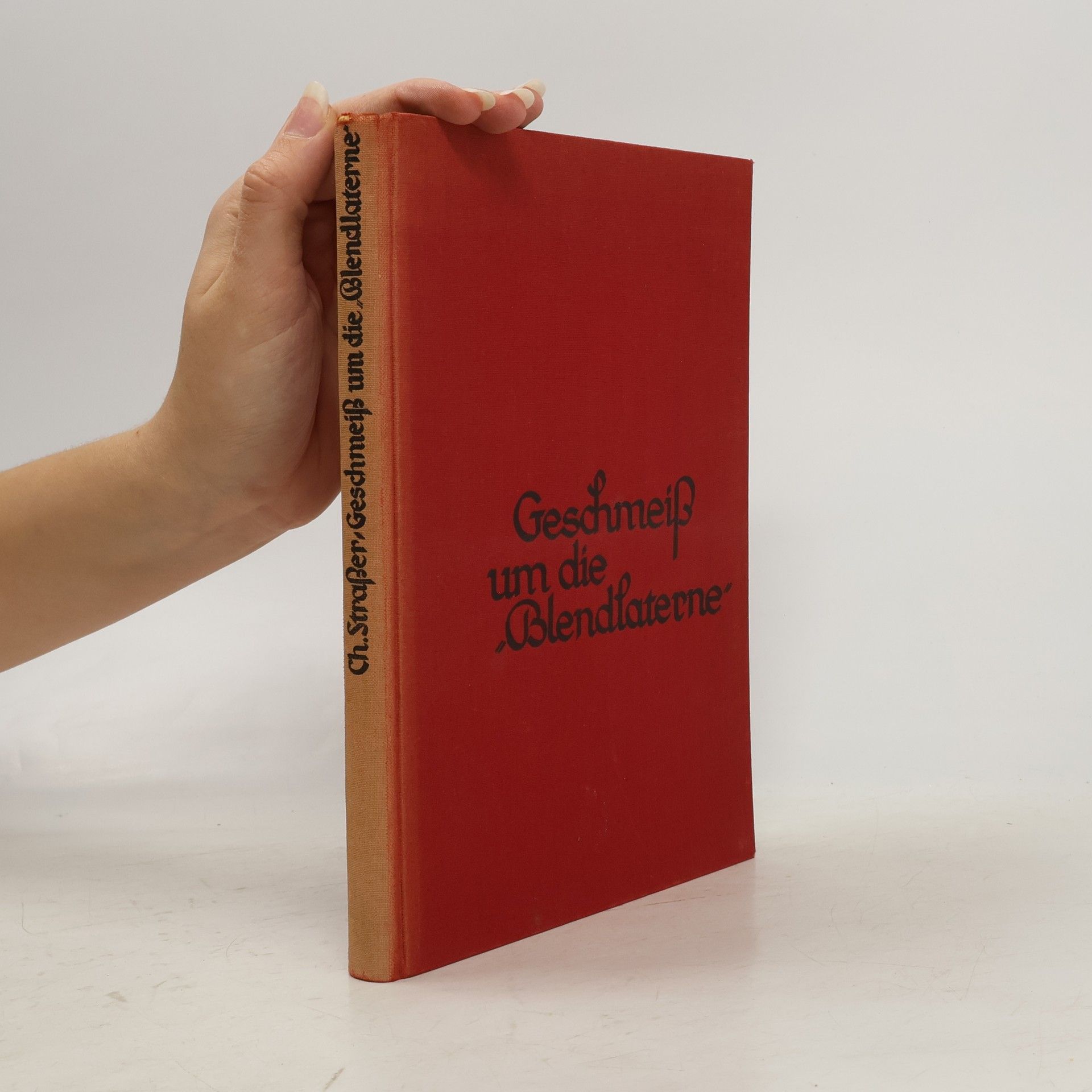 Charlot Strasser Geschmeiss um die "Blendlaterne"