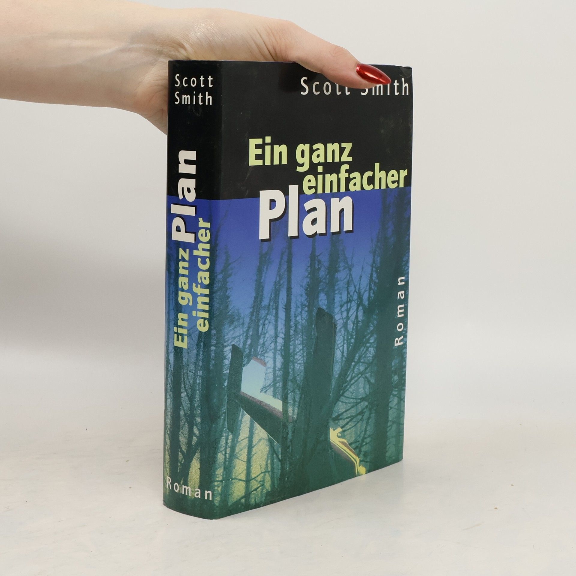 Scott Smith Ein ganz einfacher Plan