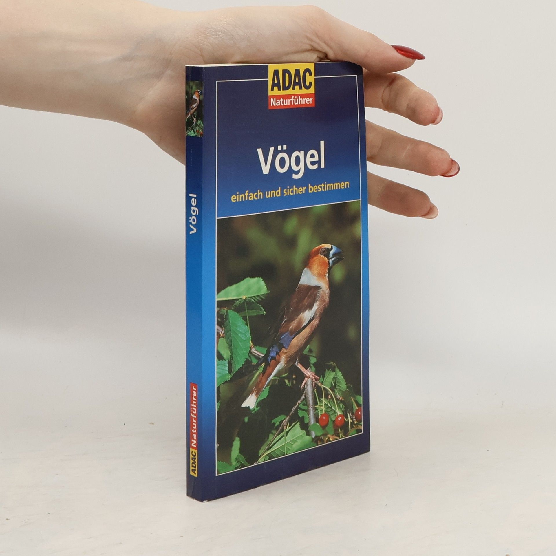 Helga Hofmann-Sieber Vögel einfach und sicher bestimmen