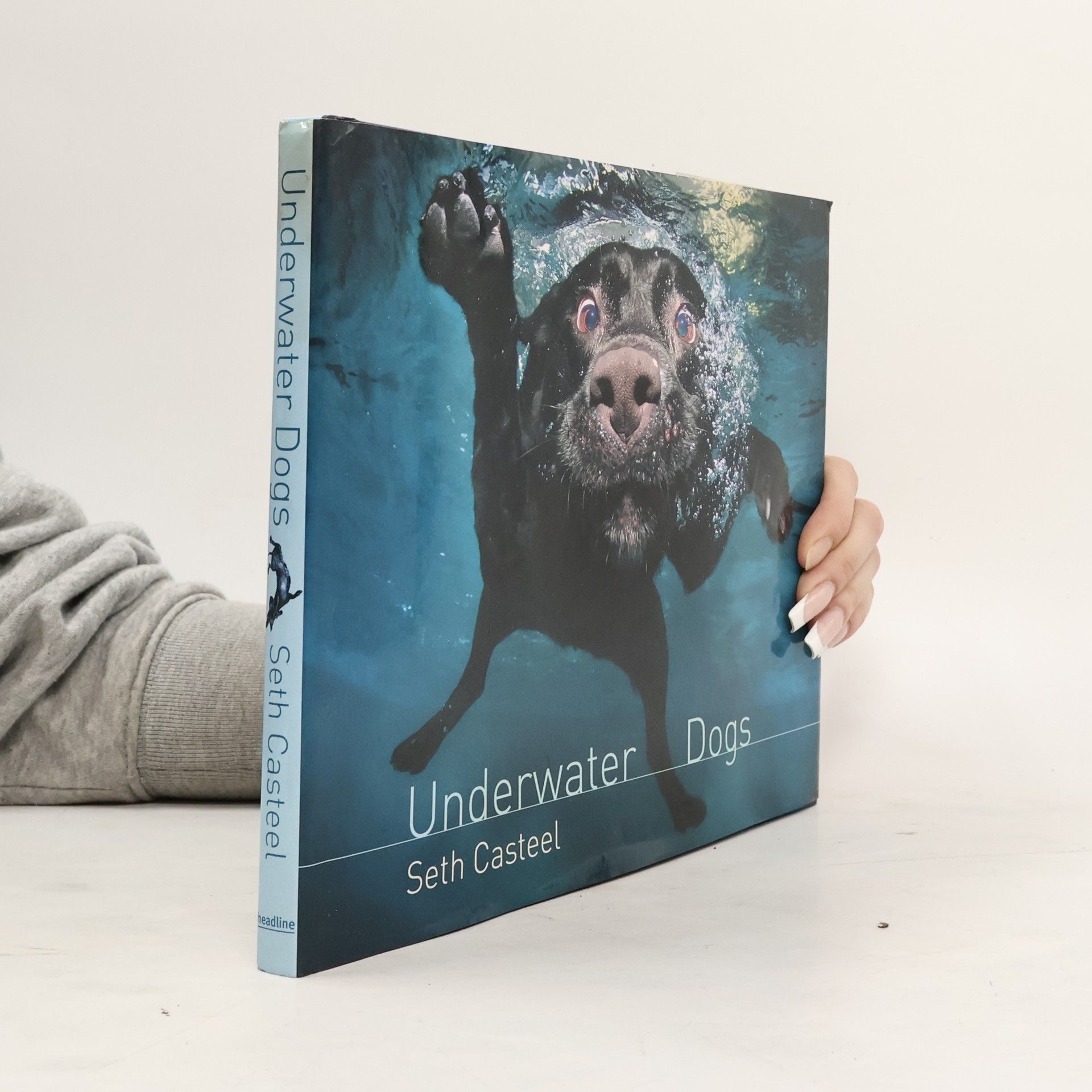 Seth Casteel Underwater dogs
