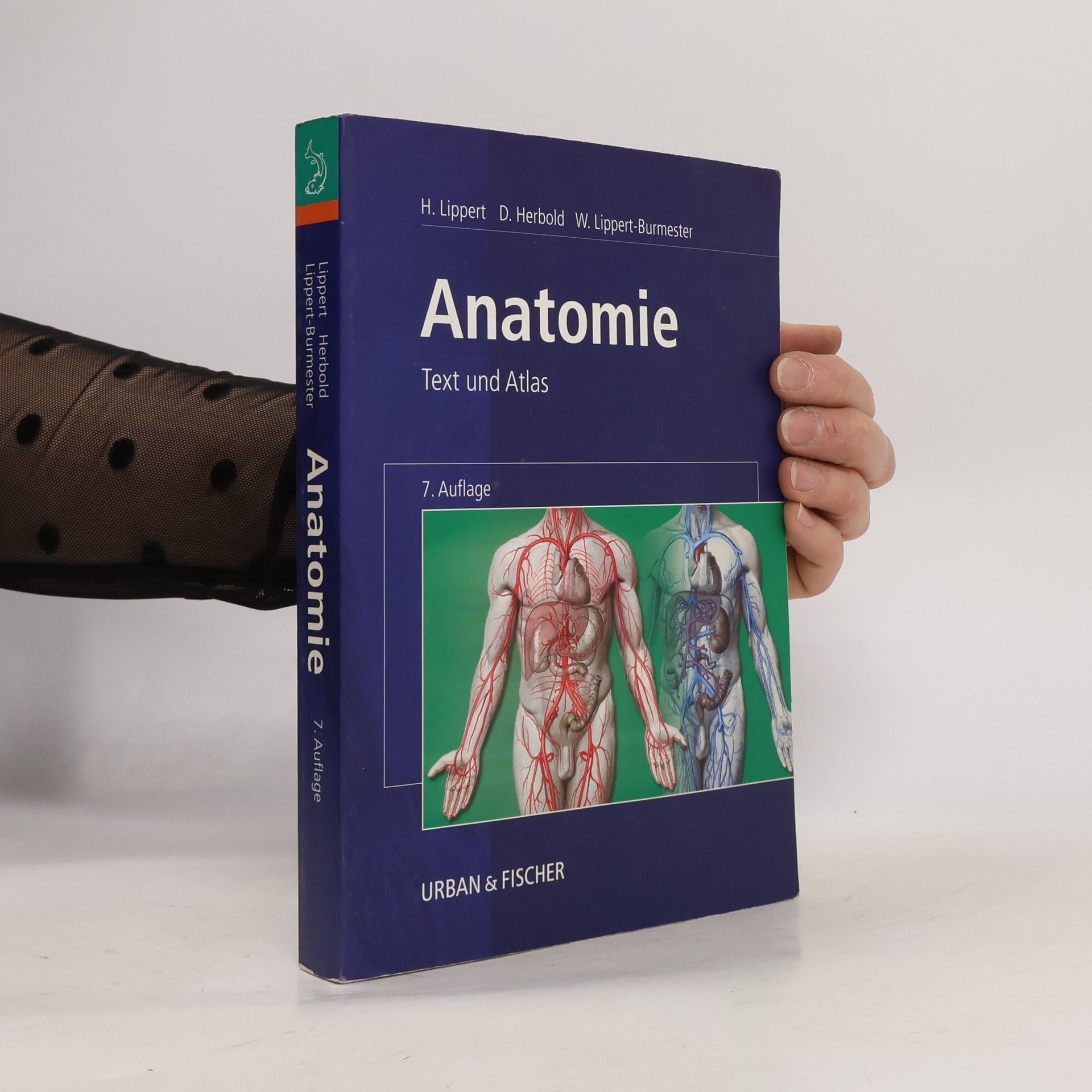 Herbert Lippert Anatomie