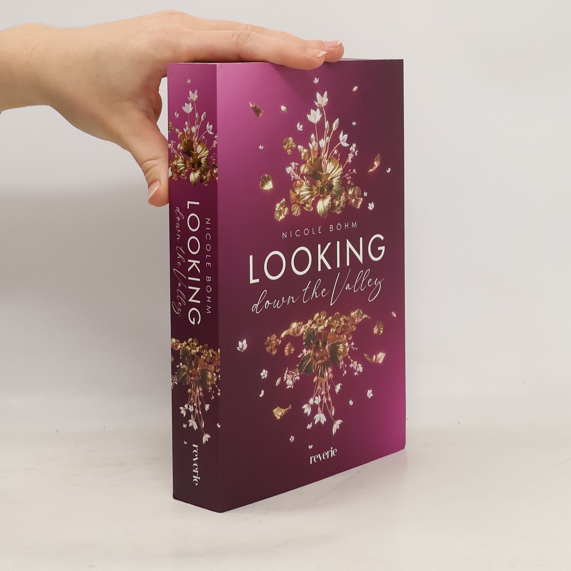 Nicole Böhm Looking down the Valley