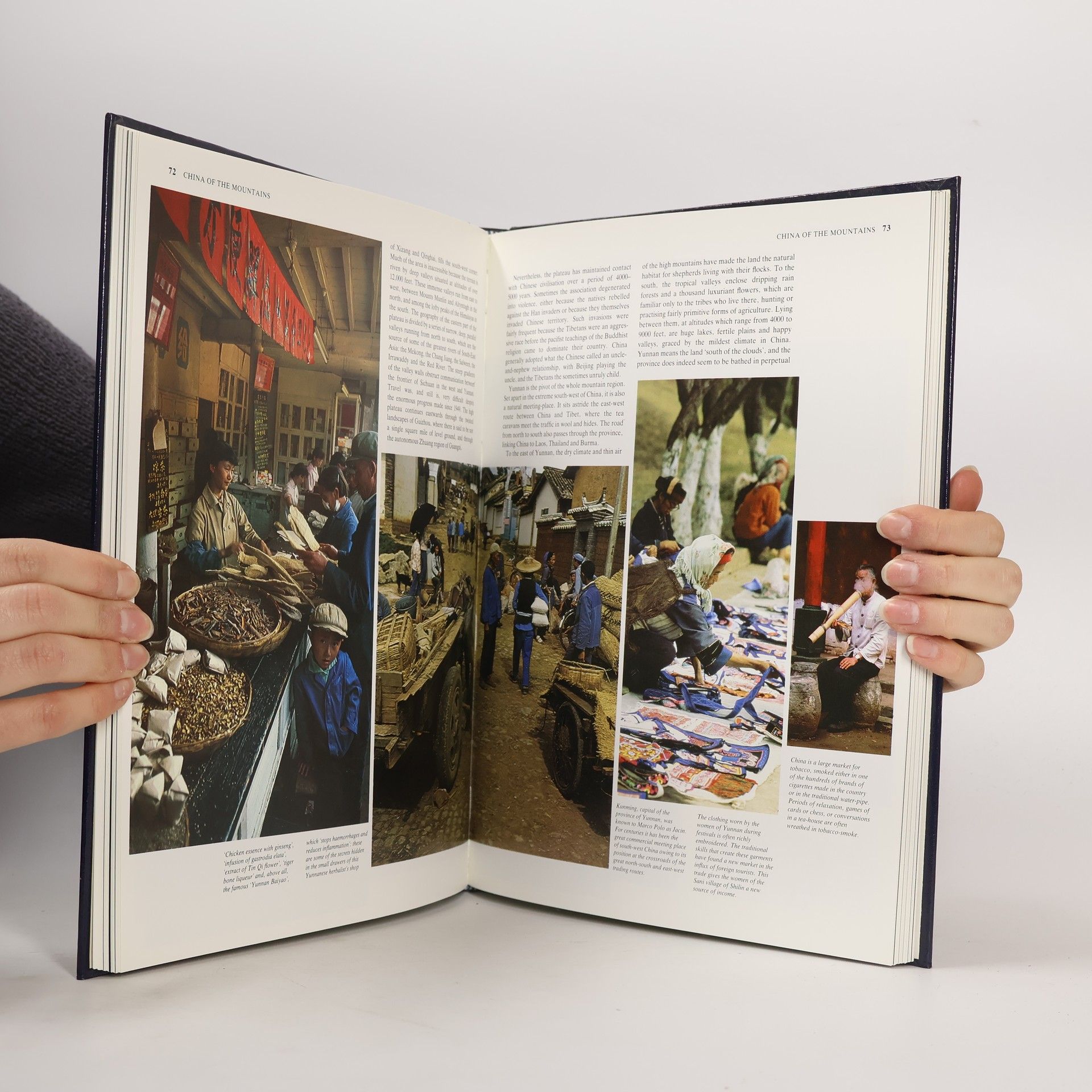 Various authors In Search of The Orient