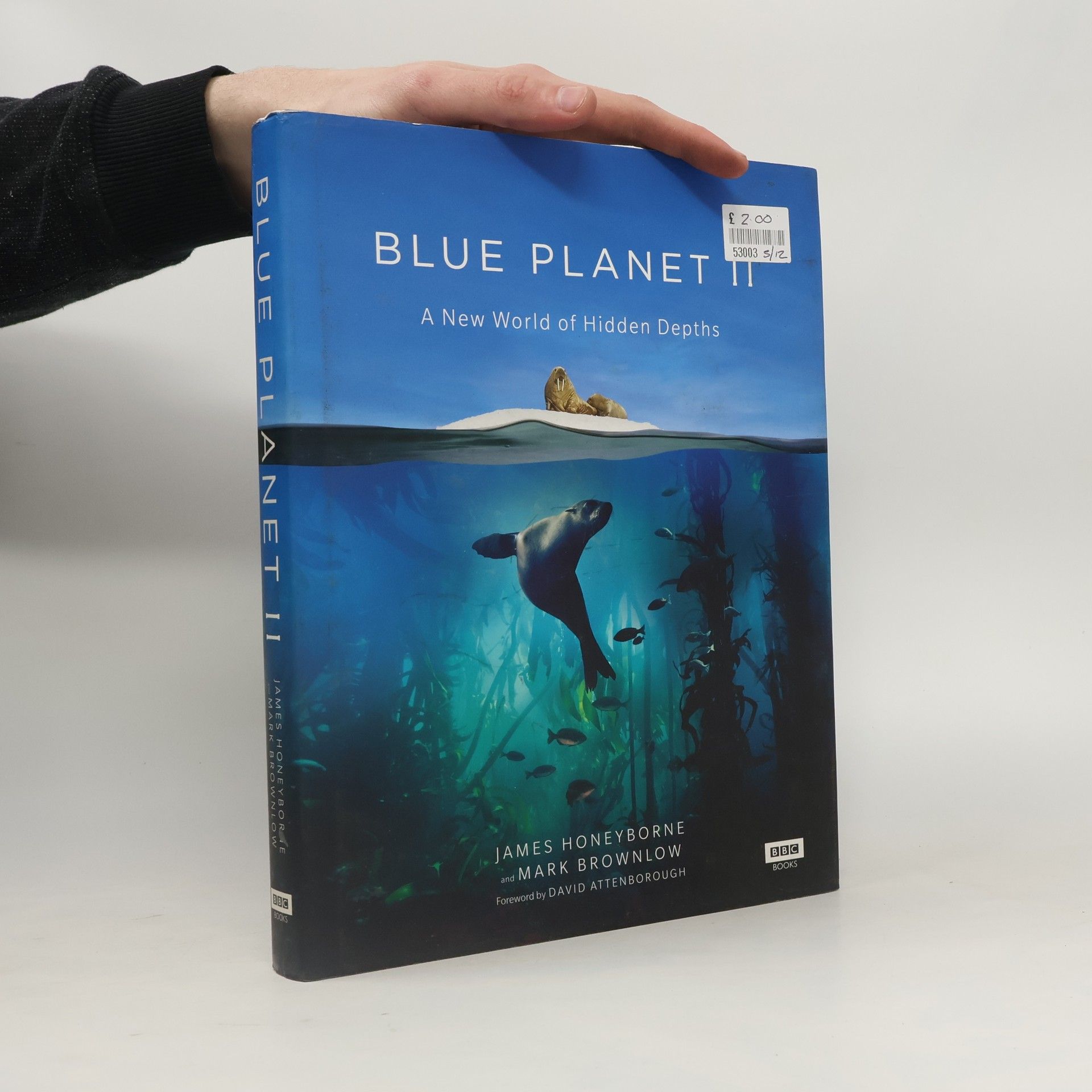 Blue Planet II
