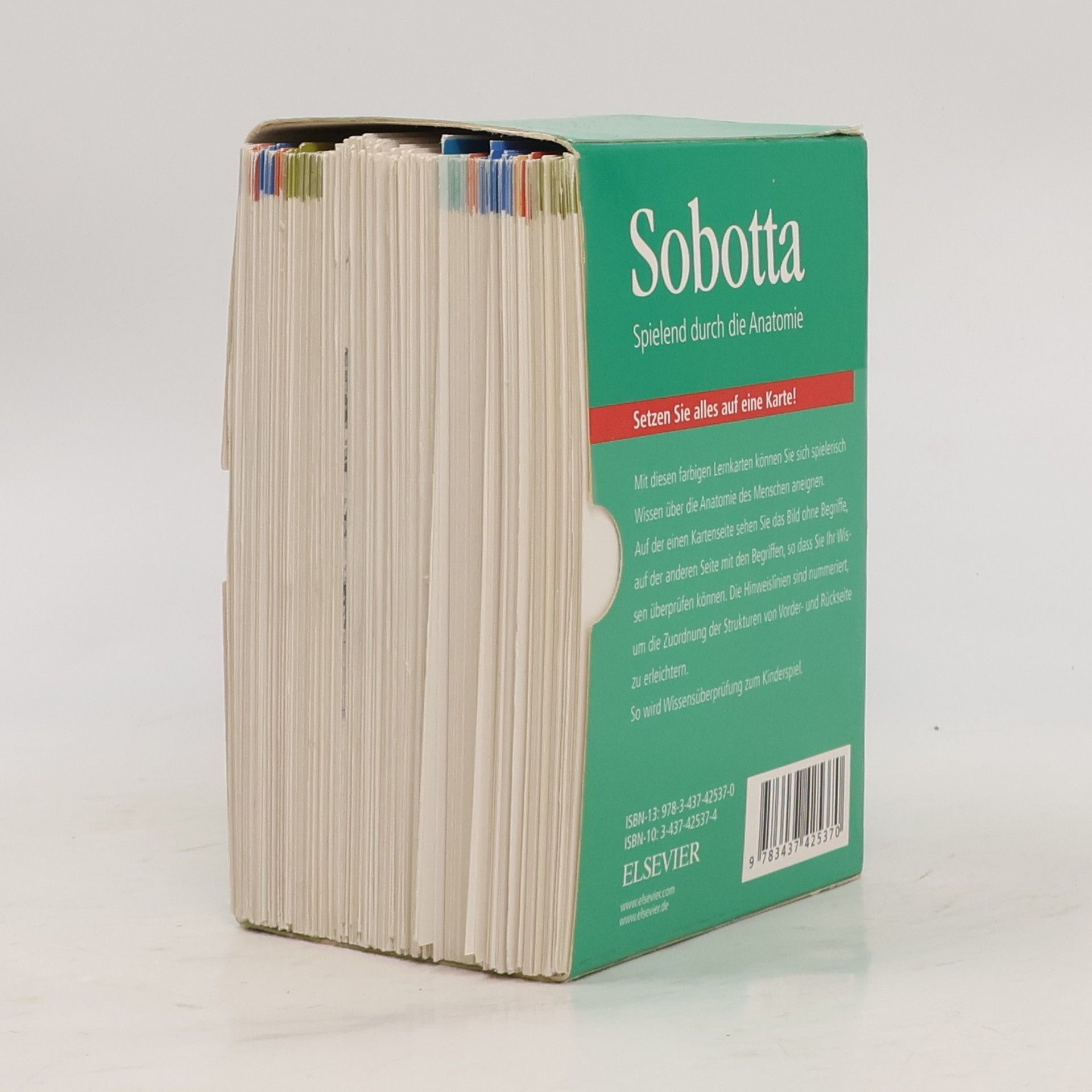 Kolektiv autorů Sobotta Spielend durch die Anatomie