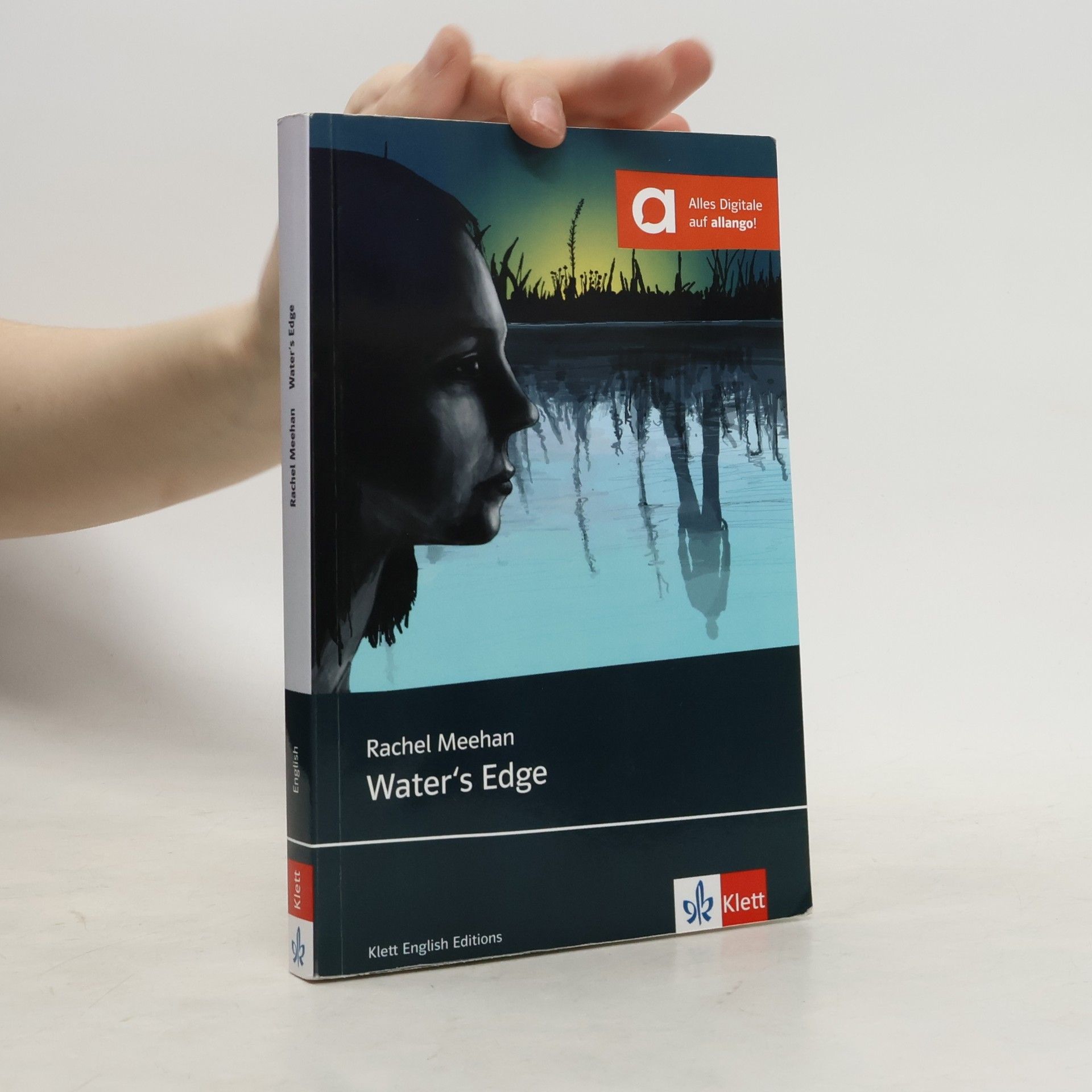 Rachel Meehan Water's Edge