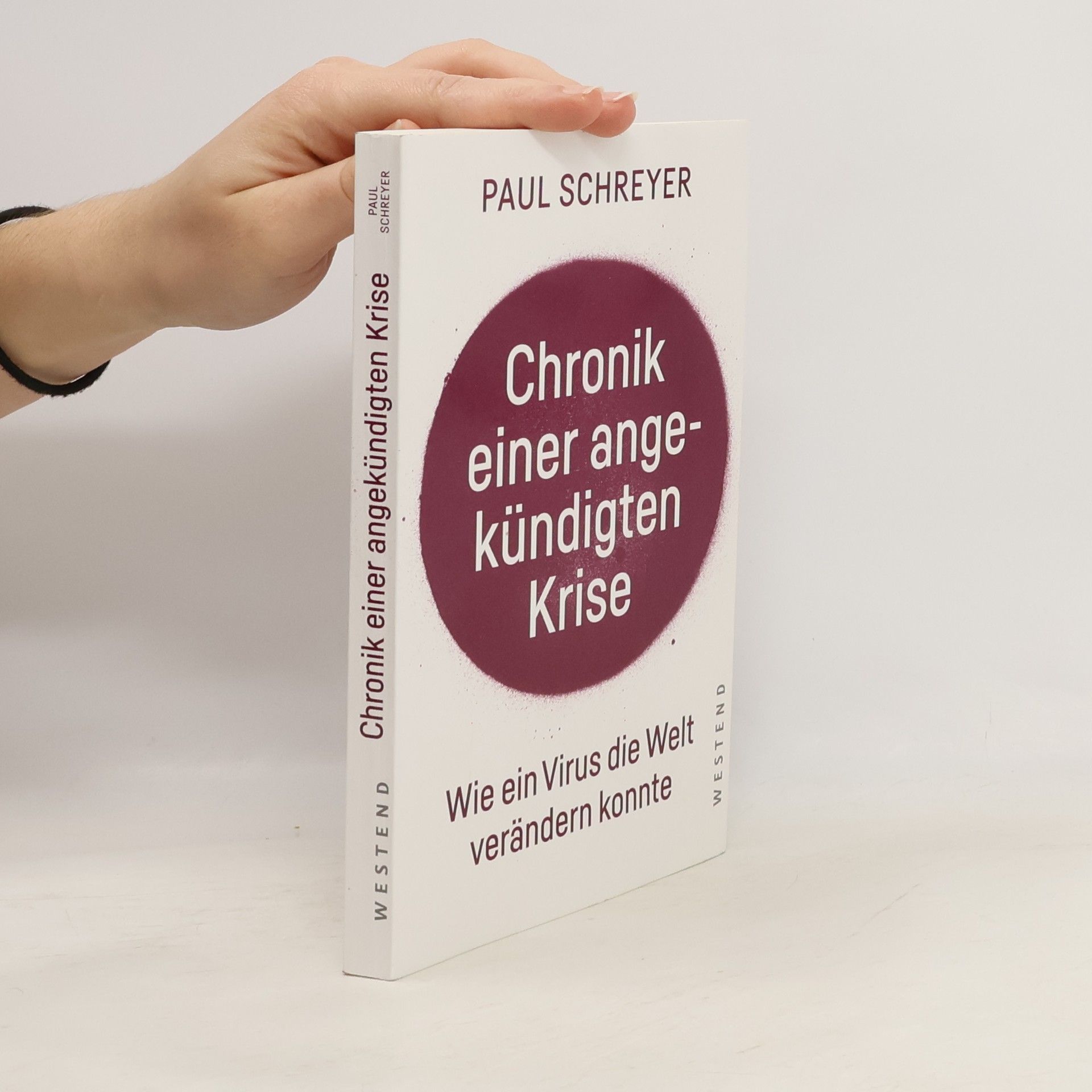 Paul Schreyer Chronik einer angekündigten Krise
