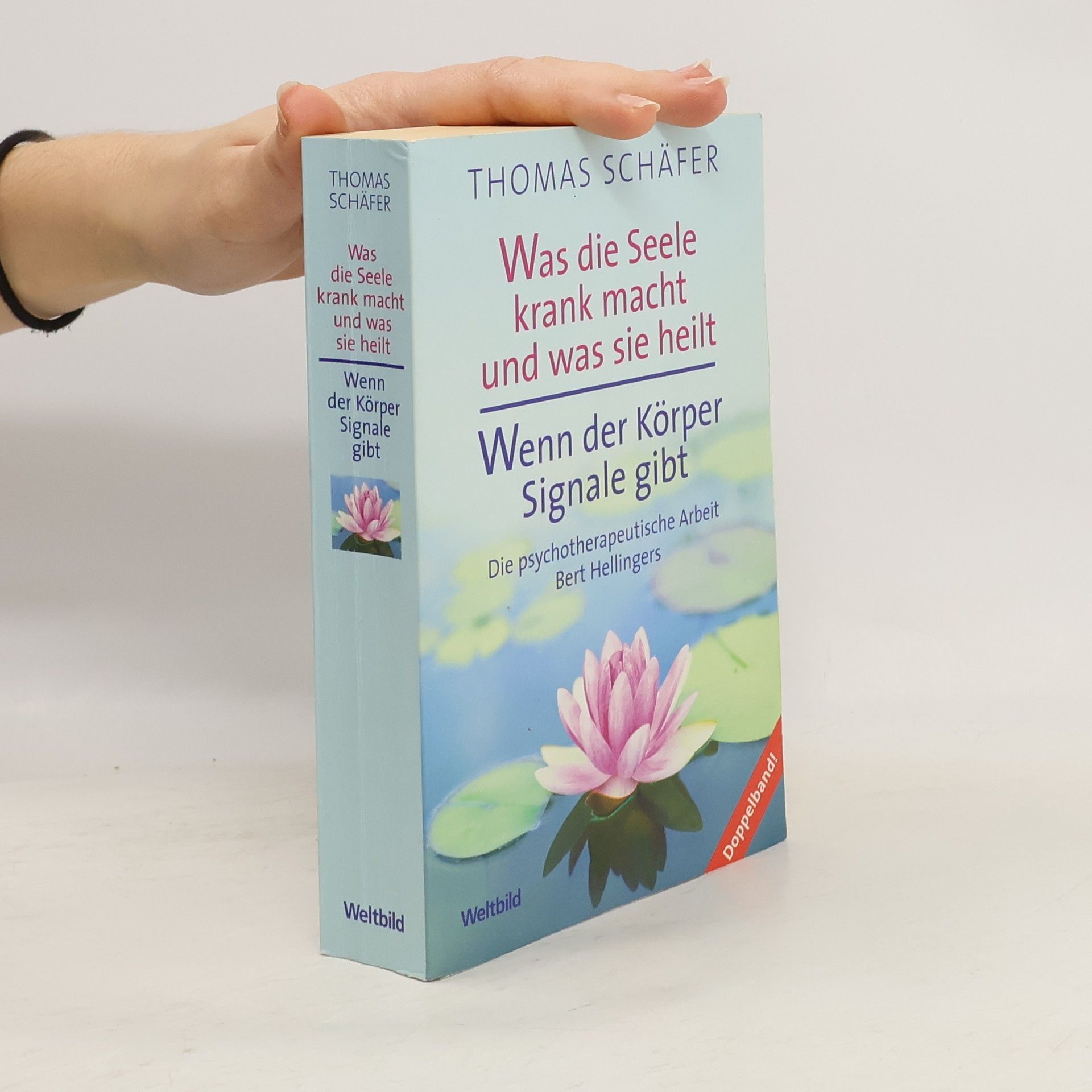 Thomas Schäfer Was die Seele krank macht und was sie heilt