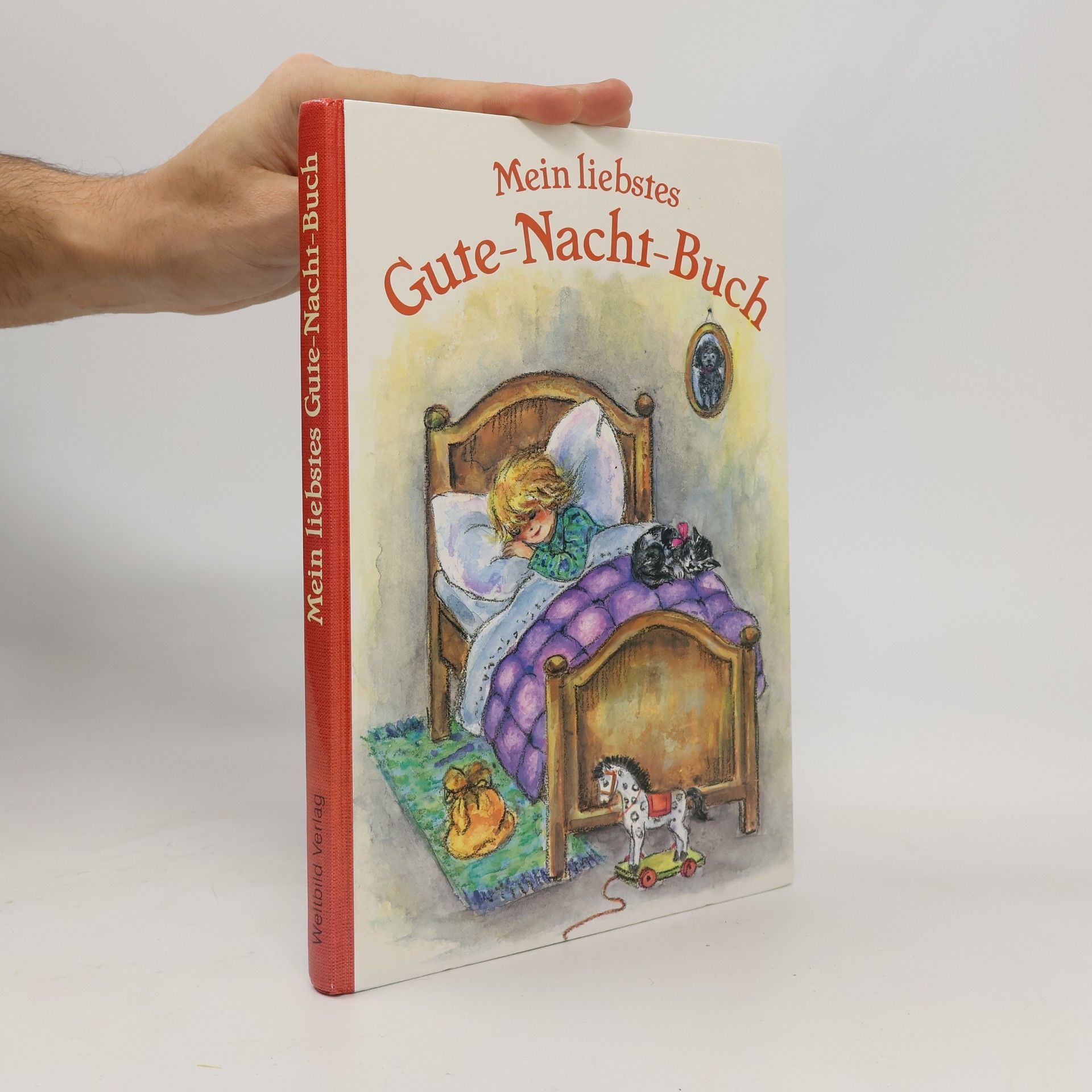 Various authors Mein liebstes Gute-Nacht-Buch