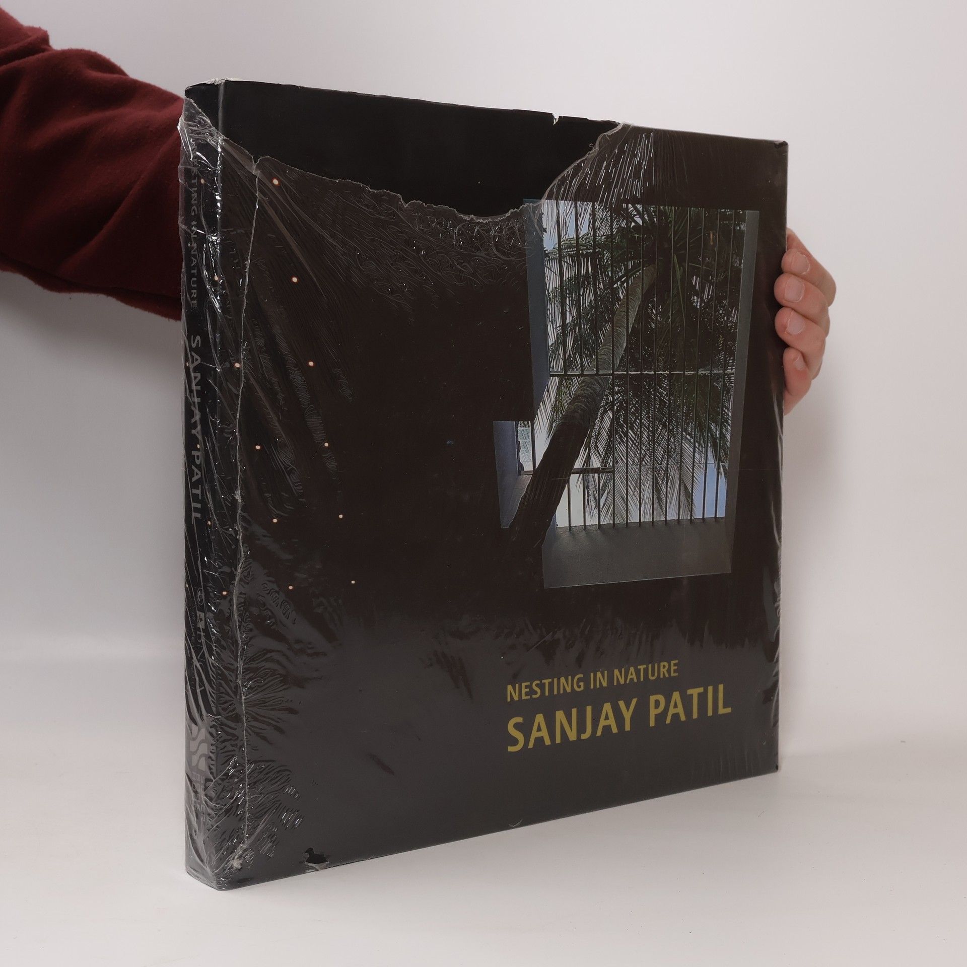 Sanjay Patil Sanjay Patil - Nesting in Nature