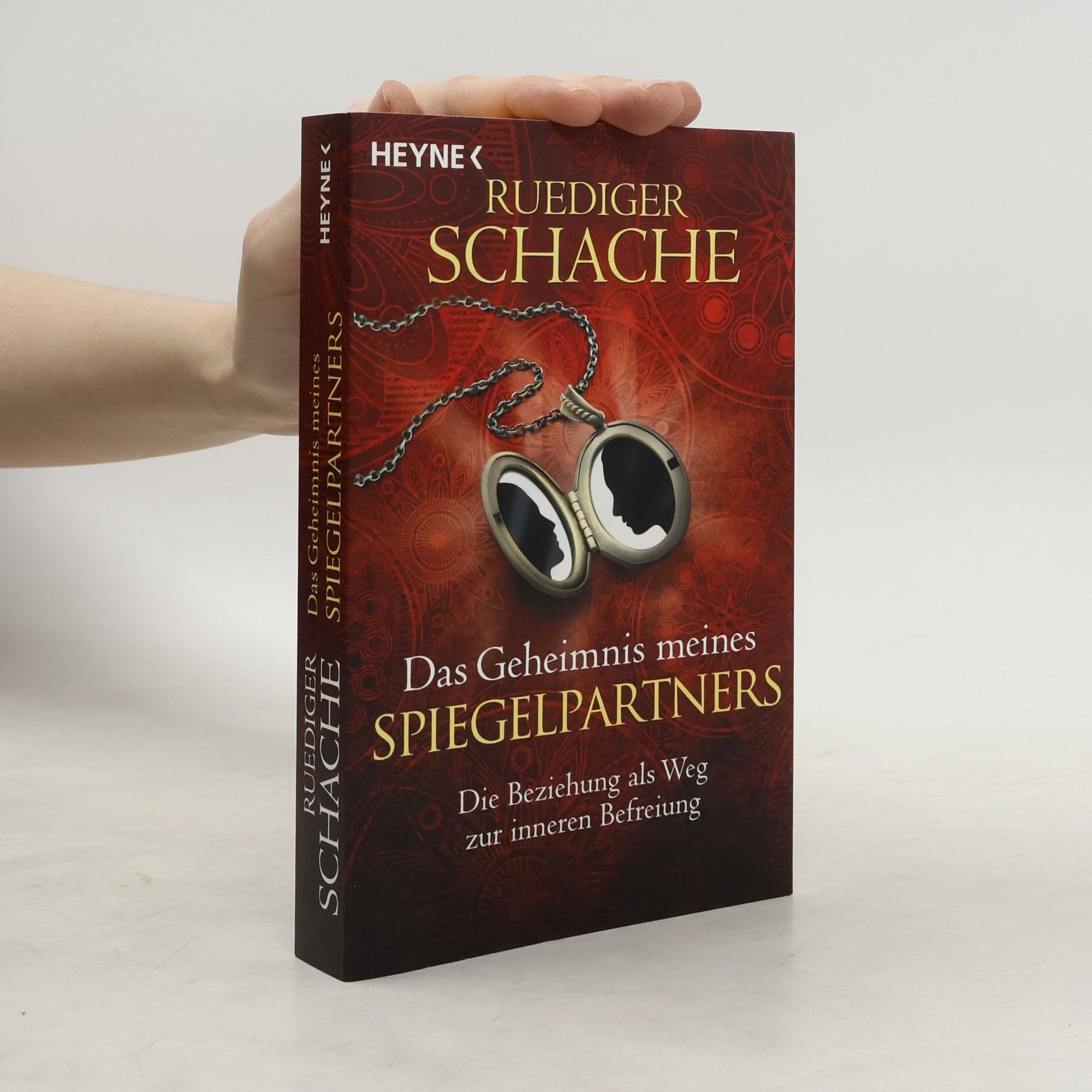 Ruediger Schache Das Geheimnis meines Spiegelpartners