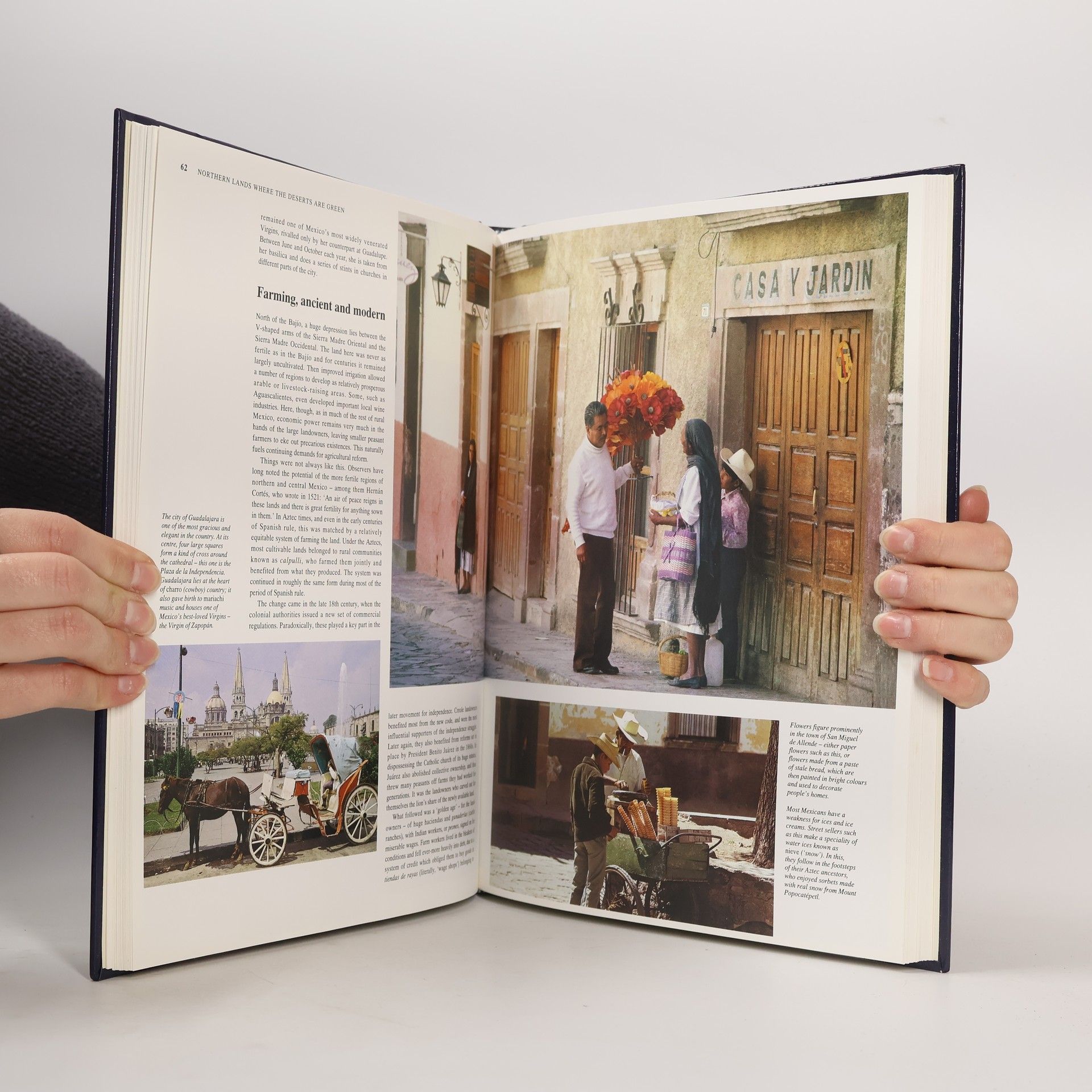 Kolektiv autorů In Search of Central America and the Caribbean