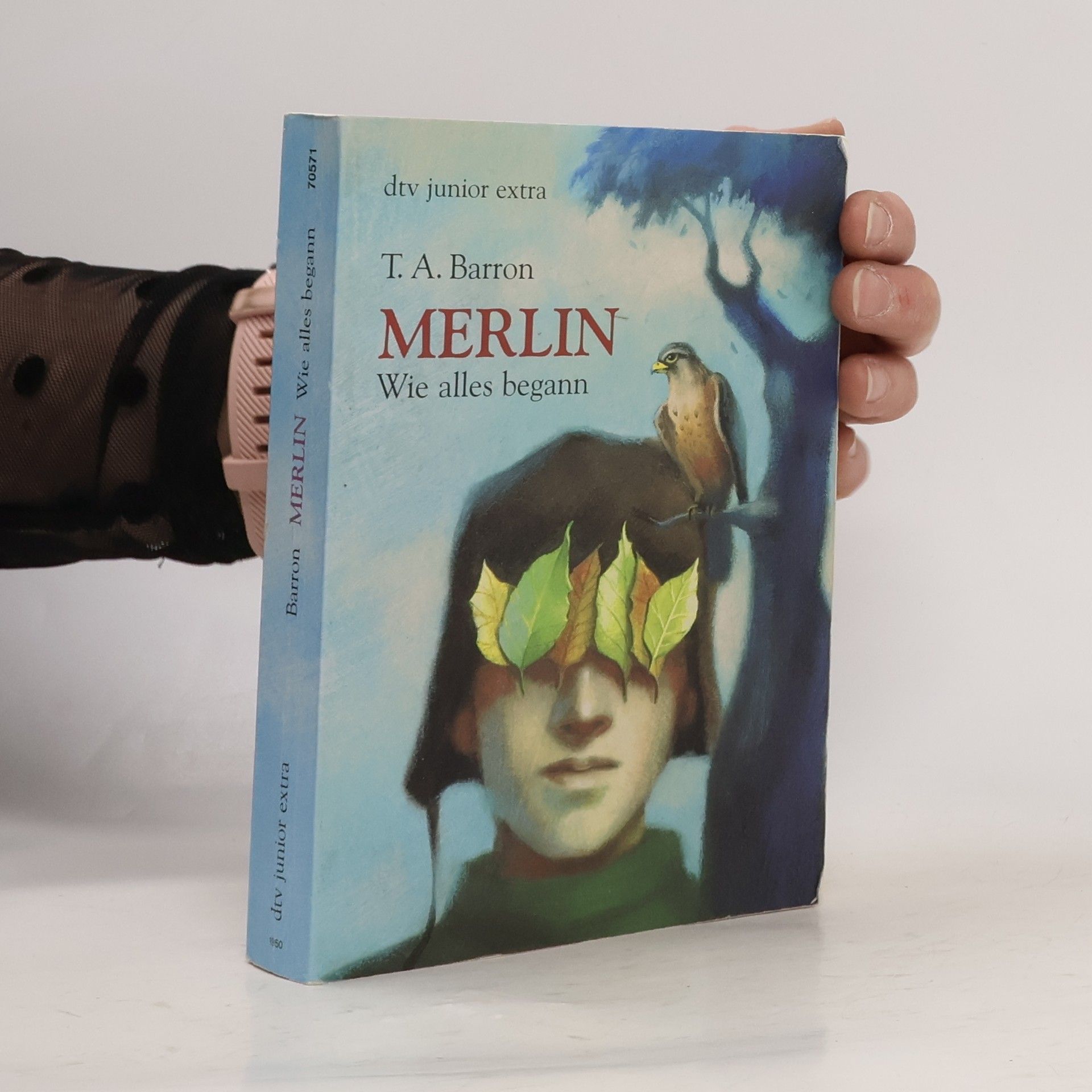 T. A. Barron Merlin. Wie alles begann