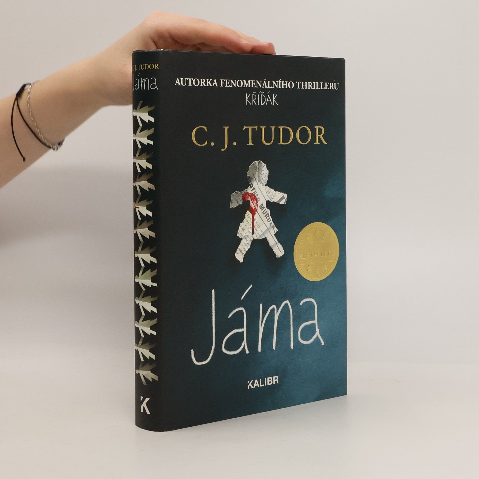 C. J. Tudor Jáma