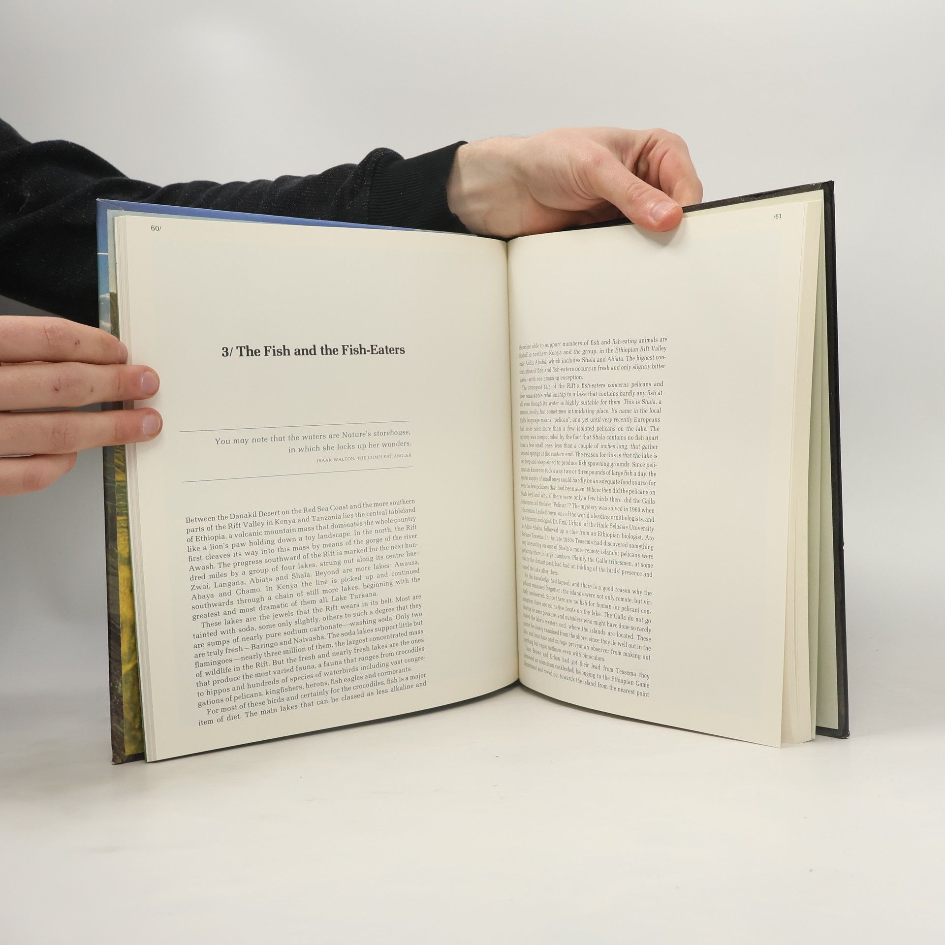 Autores varios Africa's Rift Valley