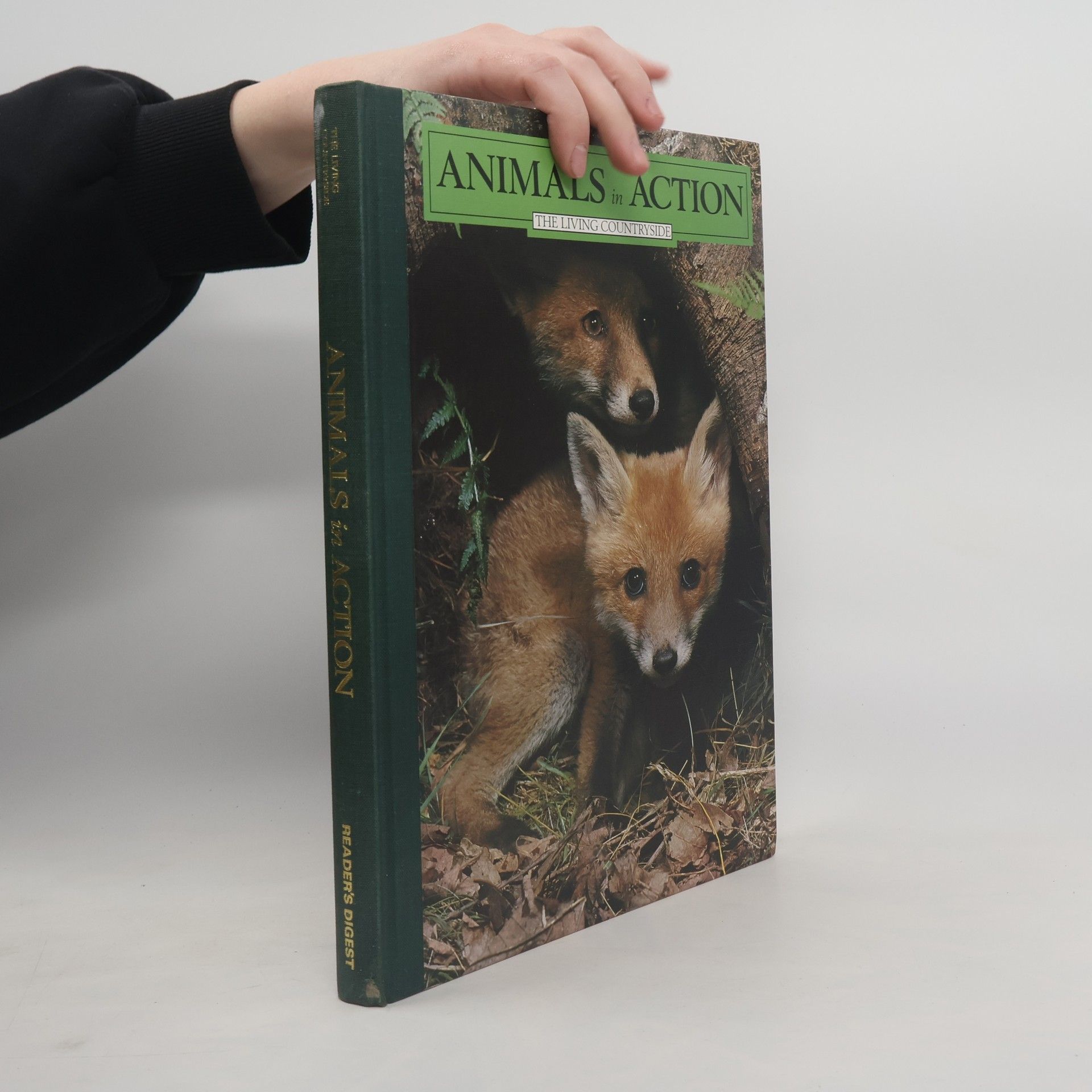 Autorenkollektiv Animals in Action