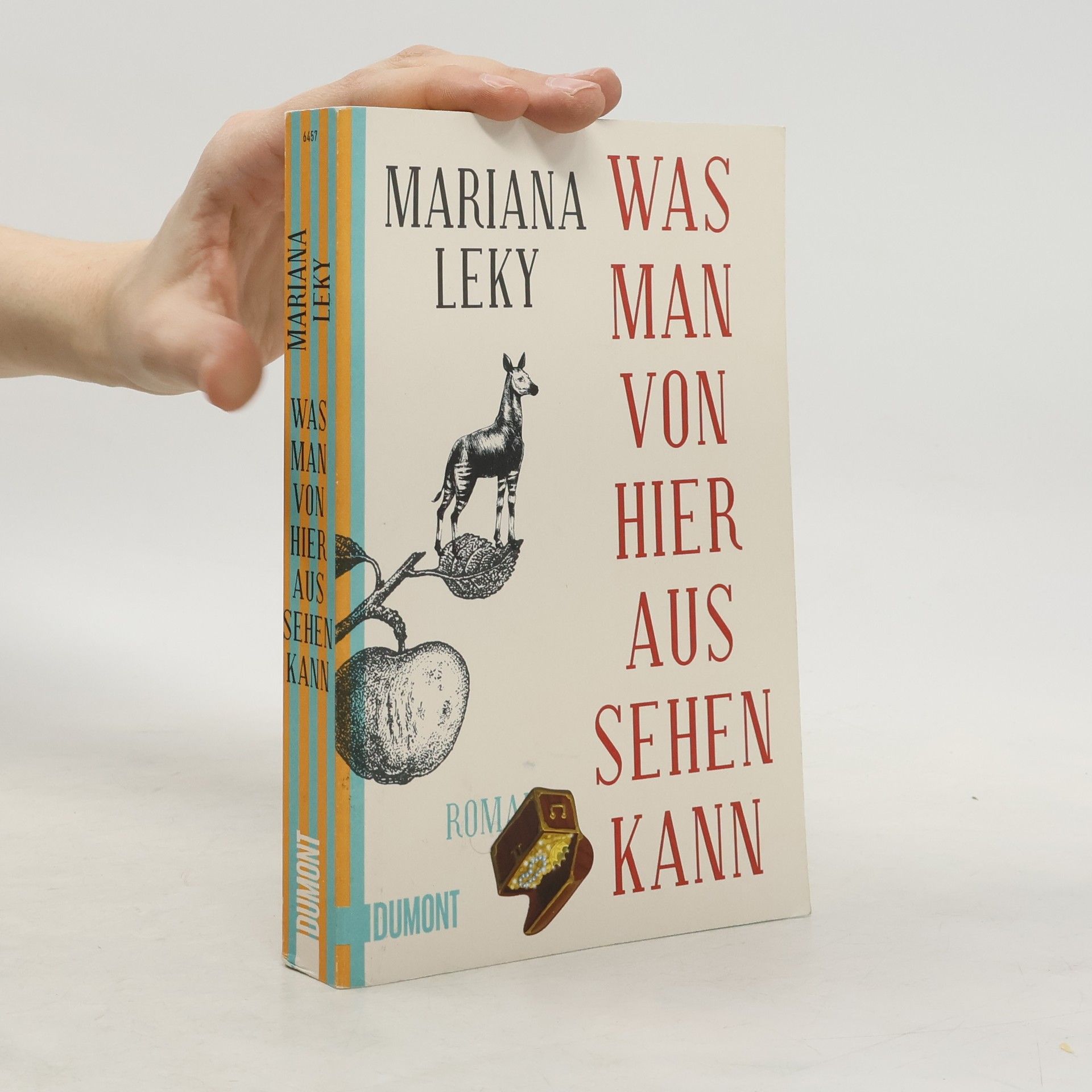 Mariana Leky Was man von hier aus sehen kann
