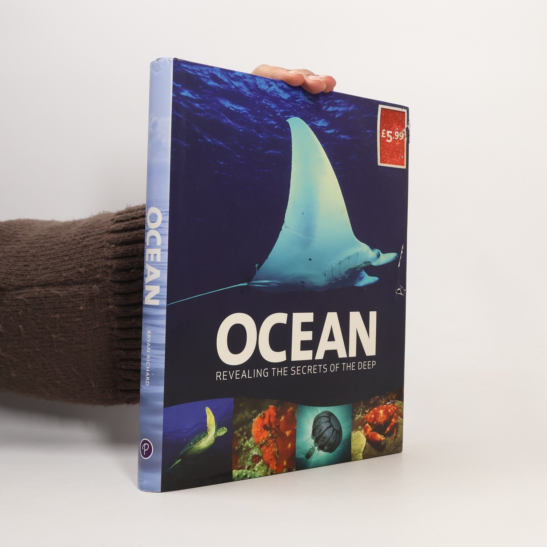 Sarah Rickayzen Ocean