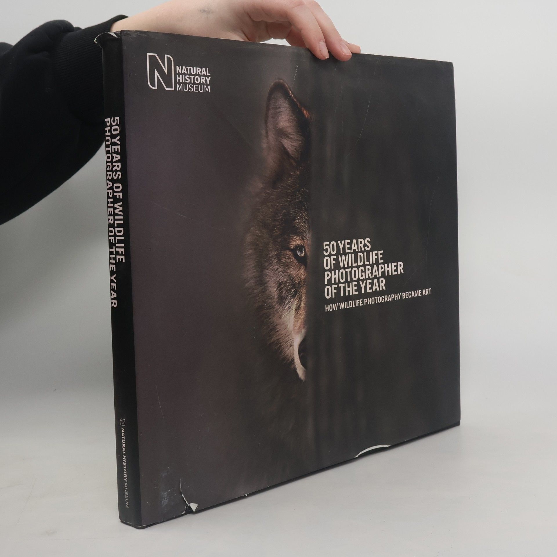 Rosamund Kidman Cox Wildlife Photographer of the Year