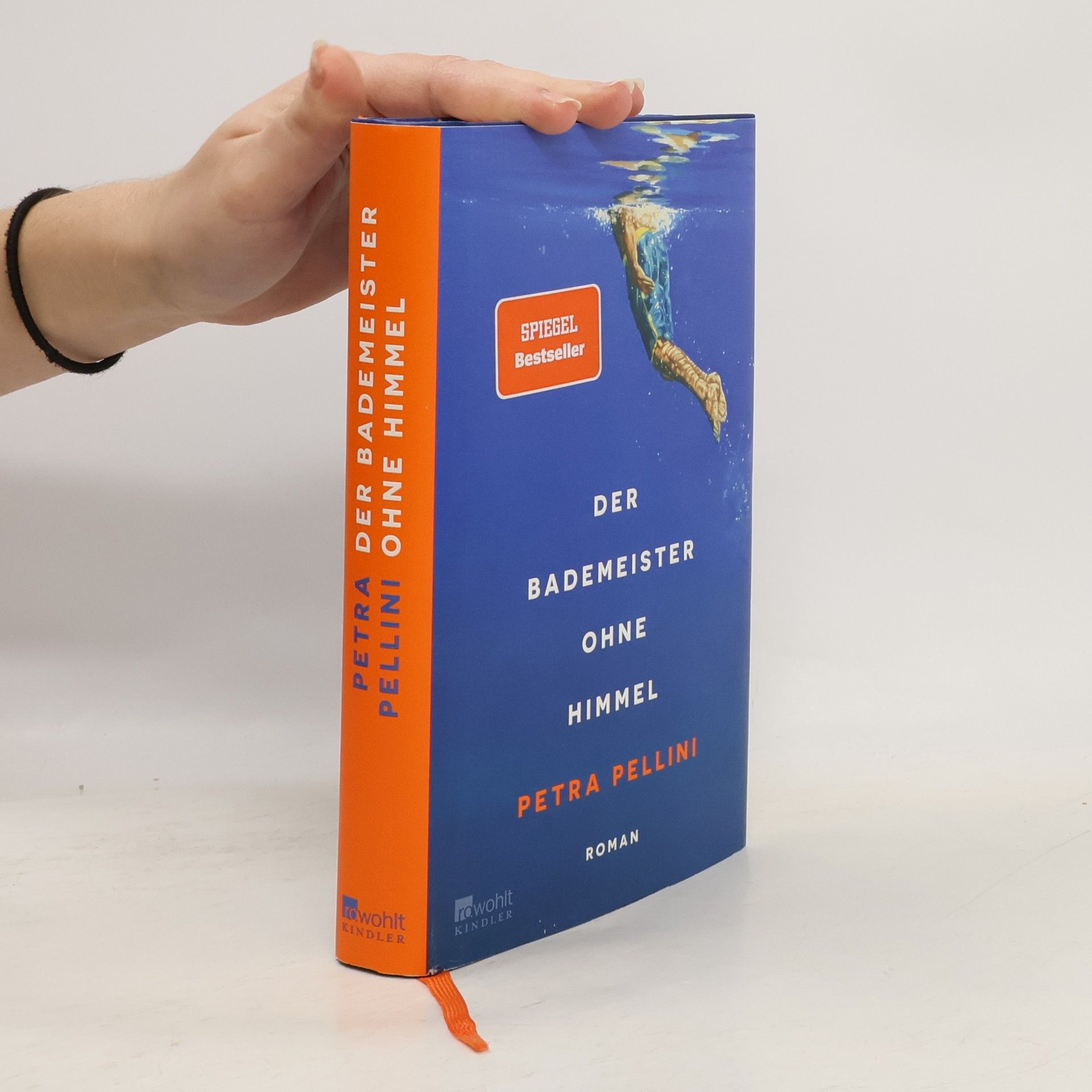 Petra Pellini Der Bademeister ohne Himmel