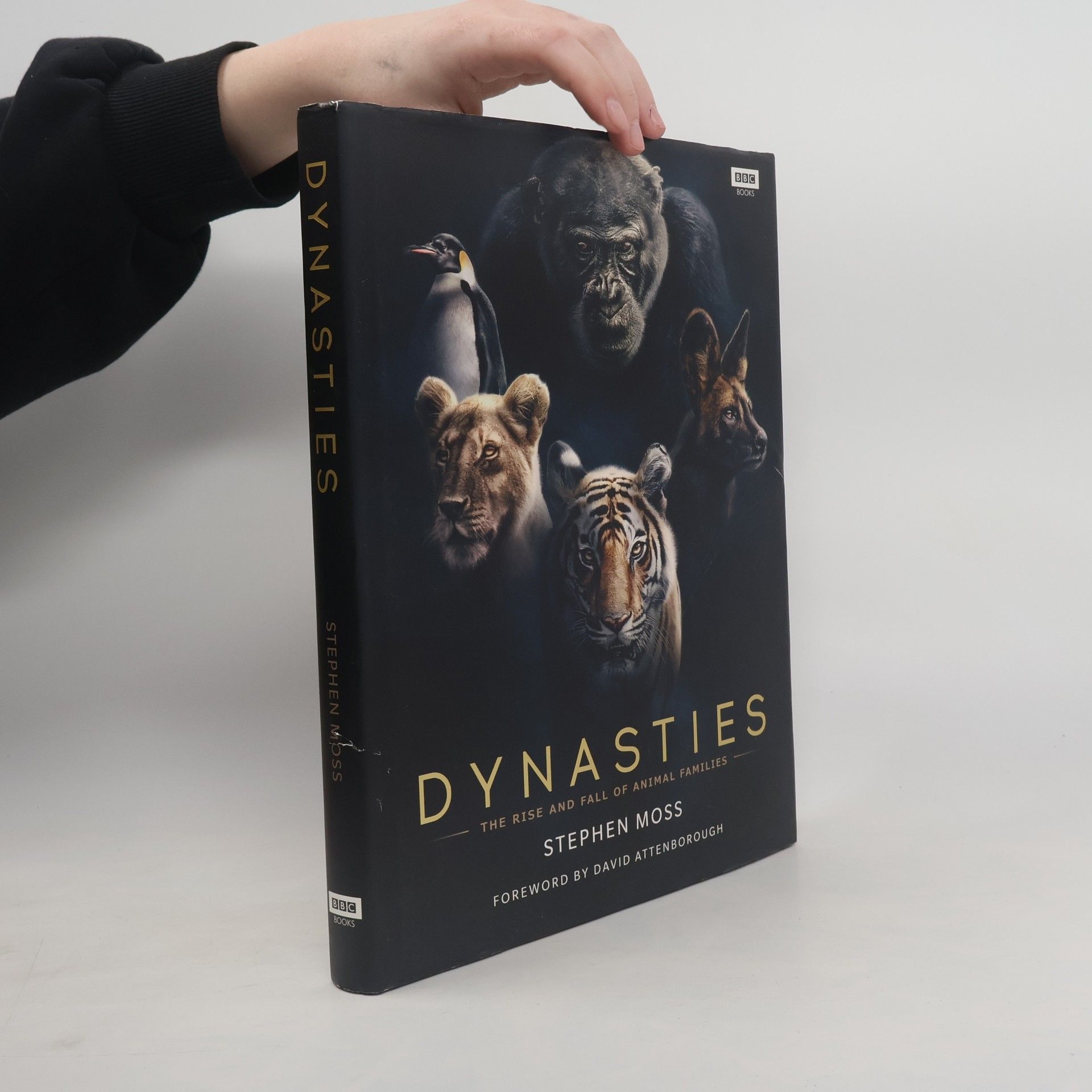 Mike Gunton Dynasties