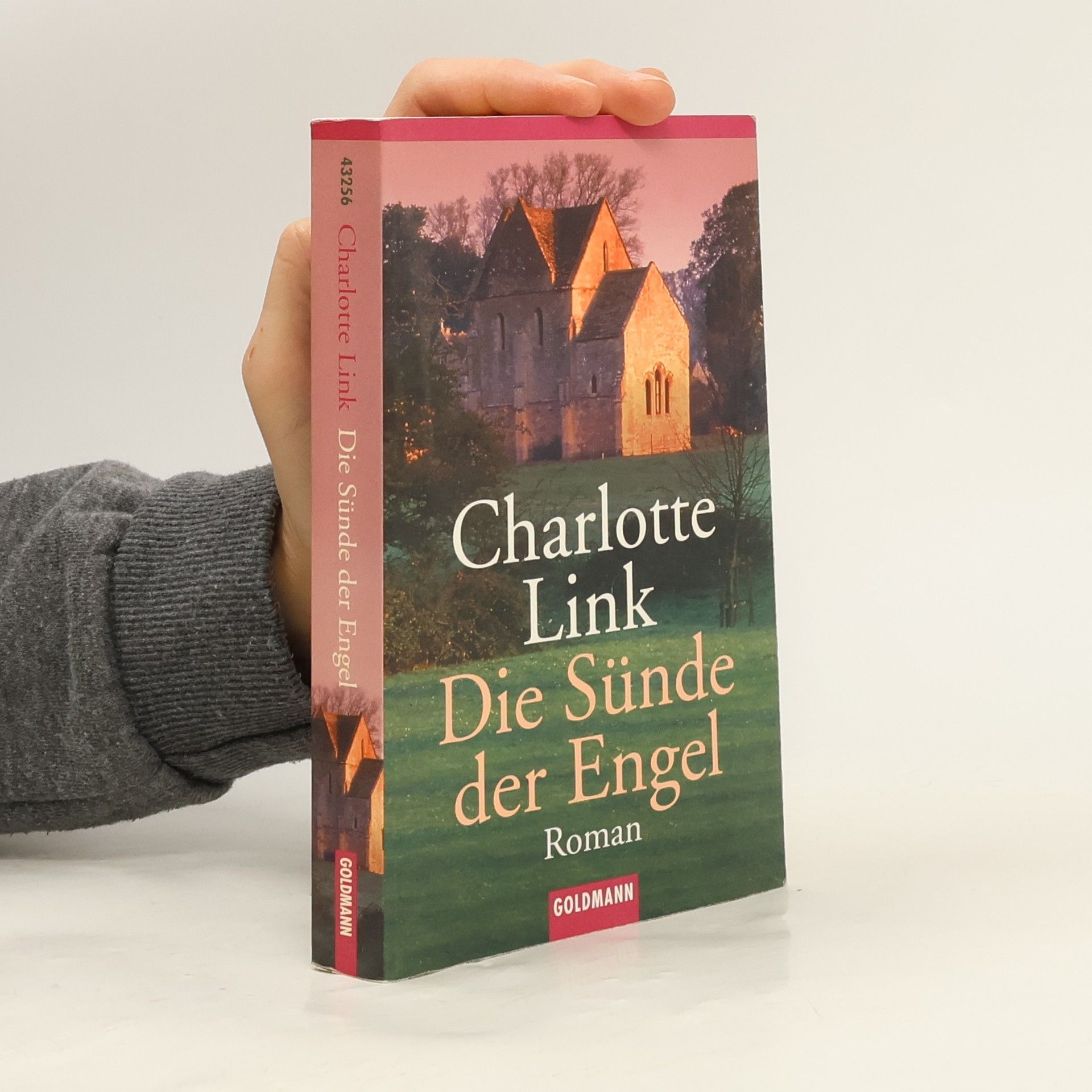 Charlotte Link Die Sünde der Engel