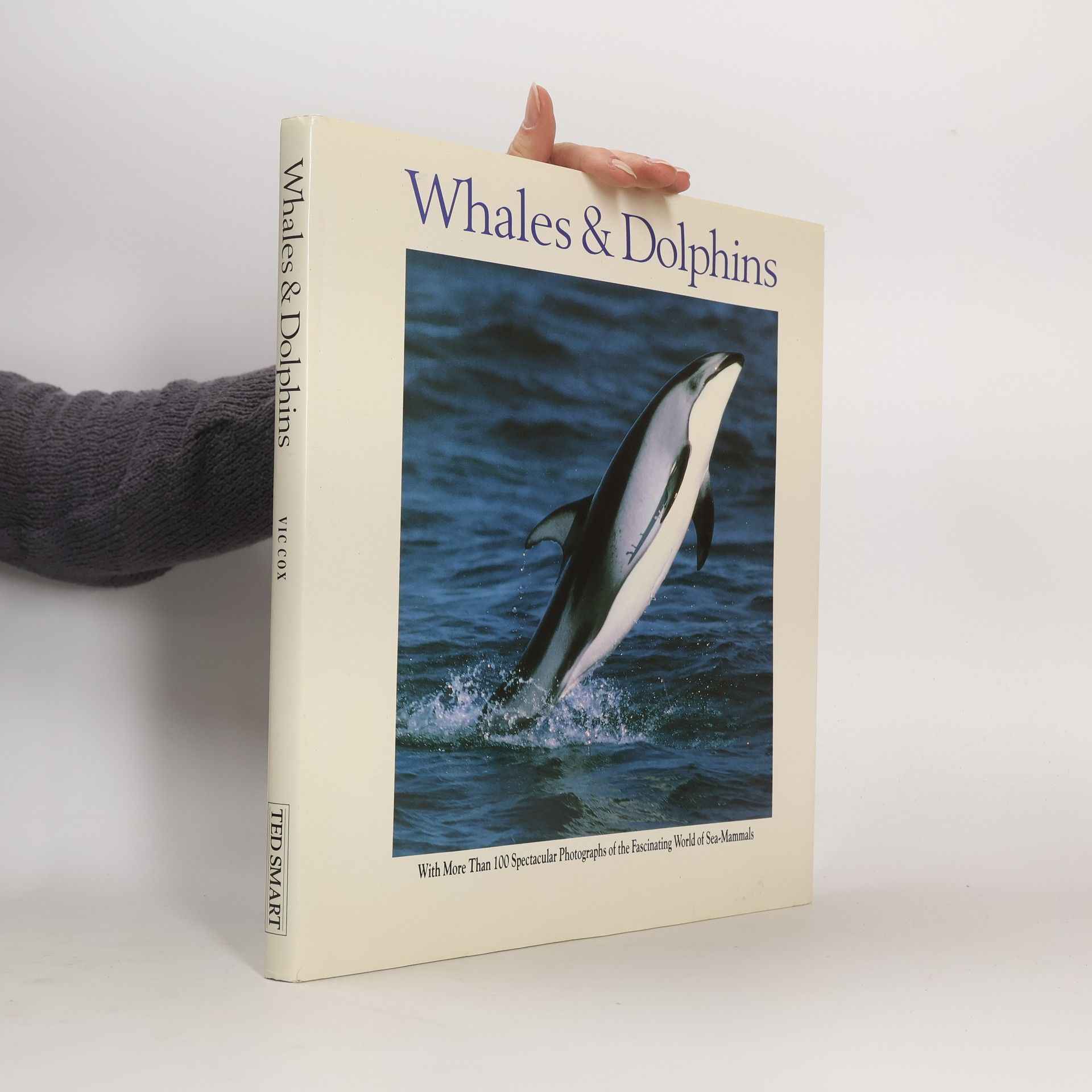 Autorenkollektiv Whales & Dolphins