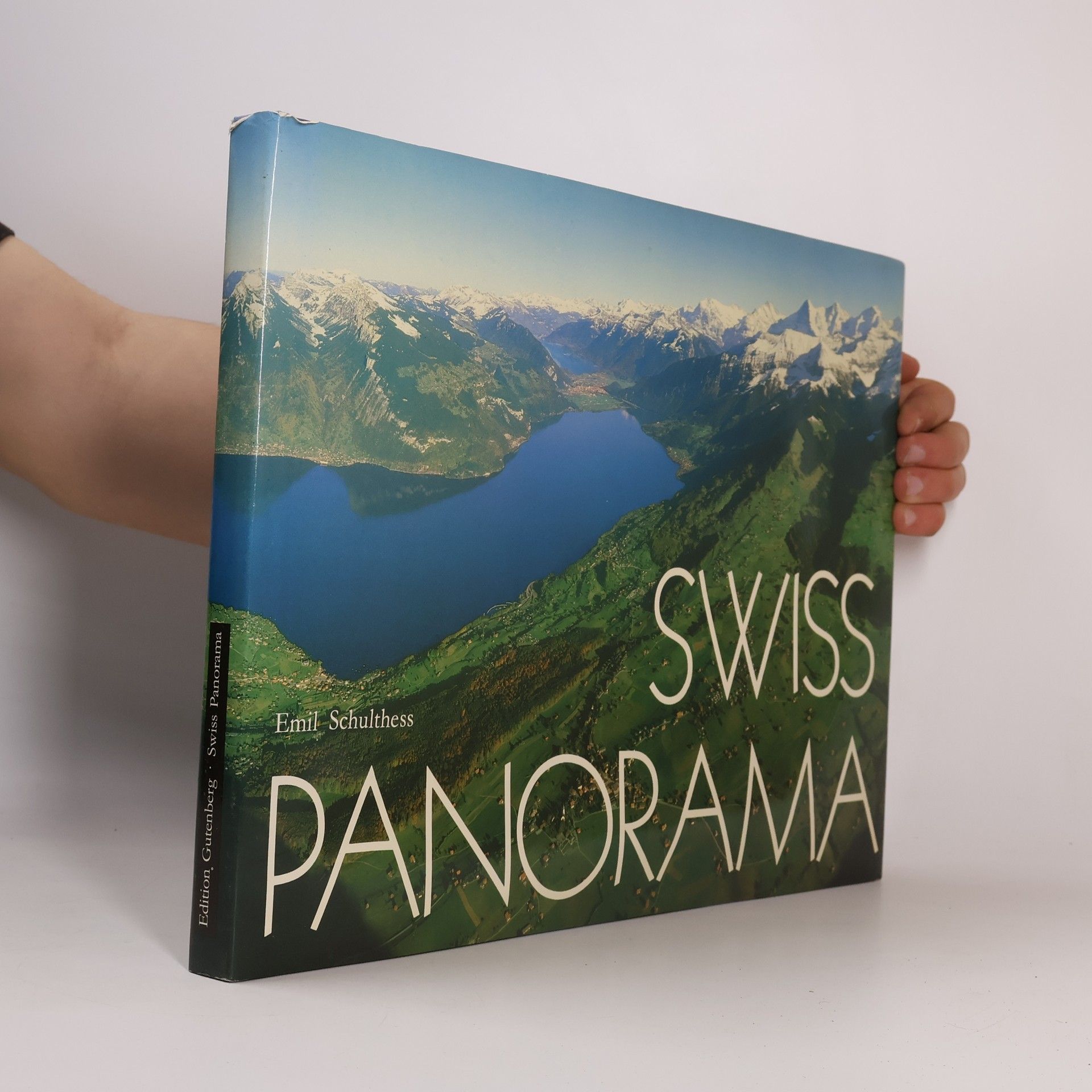 Swiss Panorama