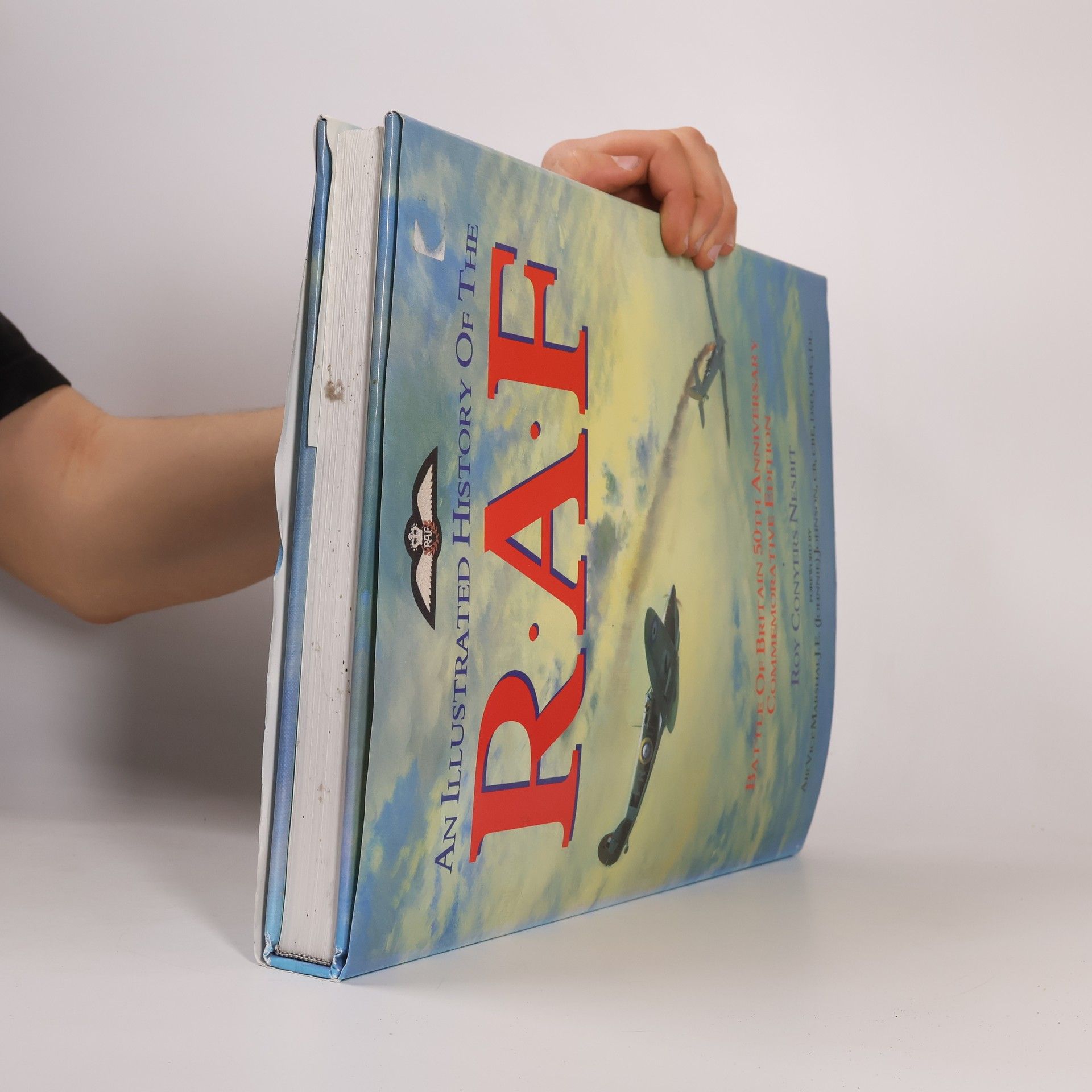 Roy Conyers Nesbit An Illustrated History of the RAF