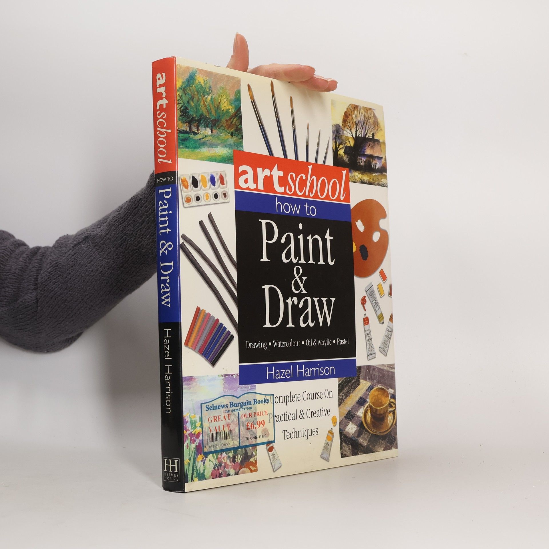 Hazel Harrison Artschool: How to Paint & Draw
