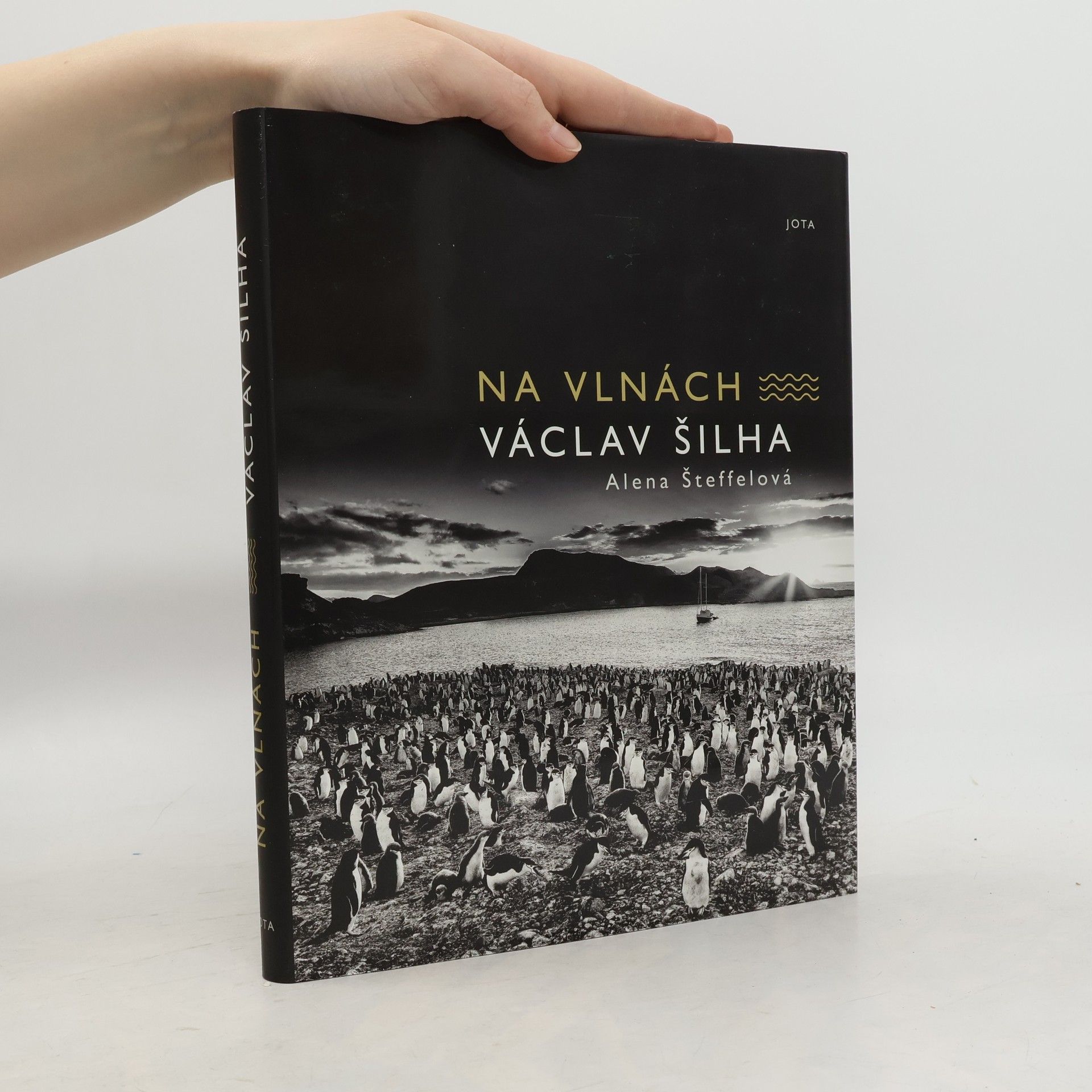 Václav Šilha Na vlnách