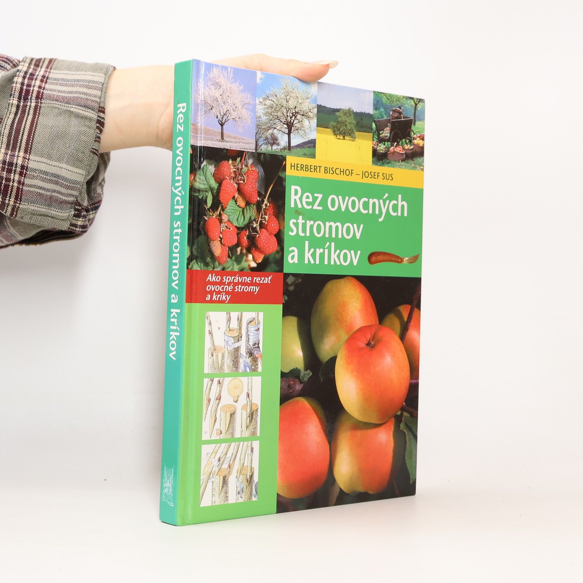 Rez ovocných stromov a kríkov