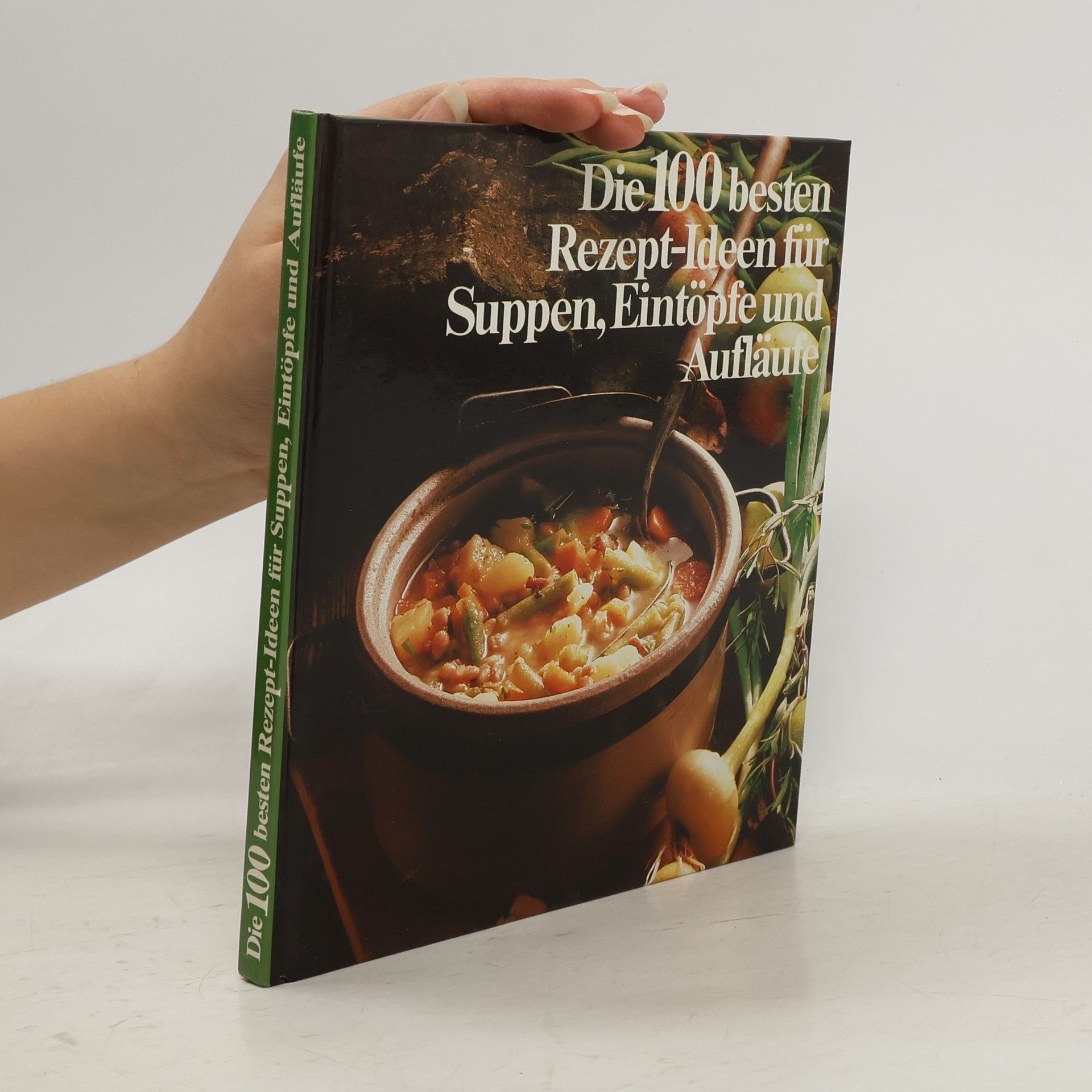 Kolektiv autorů Die 100 besten Rezept-Ideen für Suppen, Eintöpfe und Auflaure