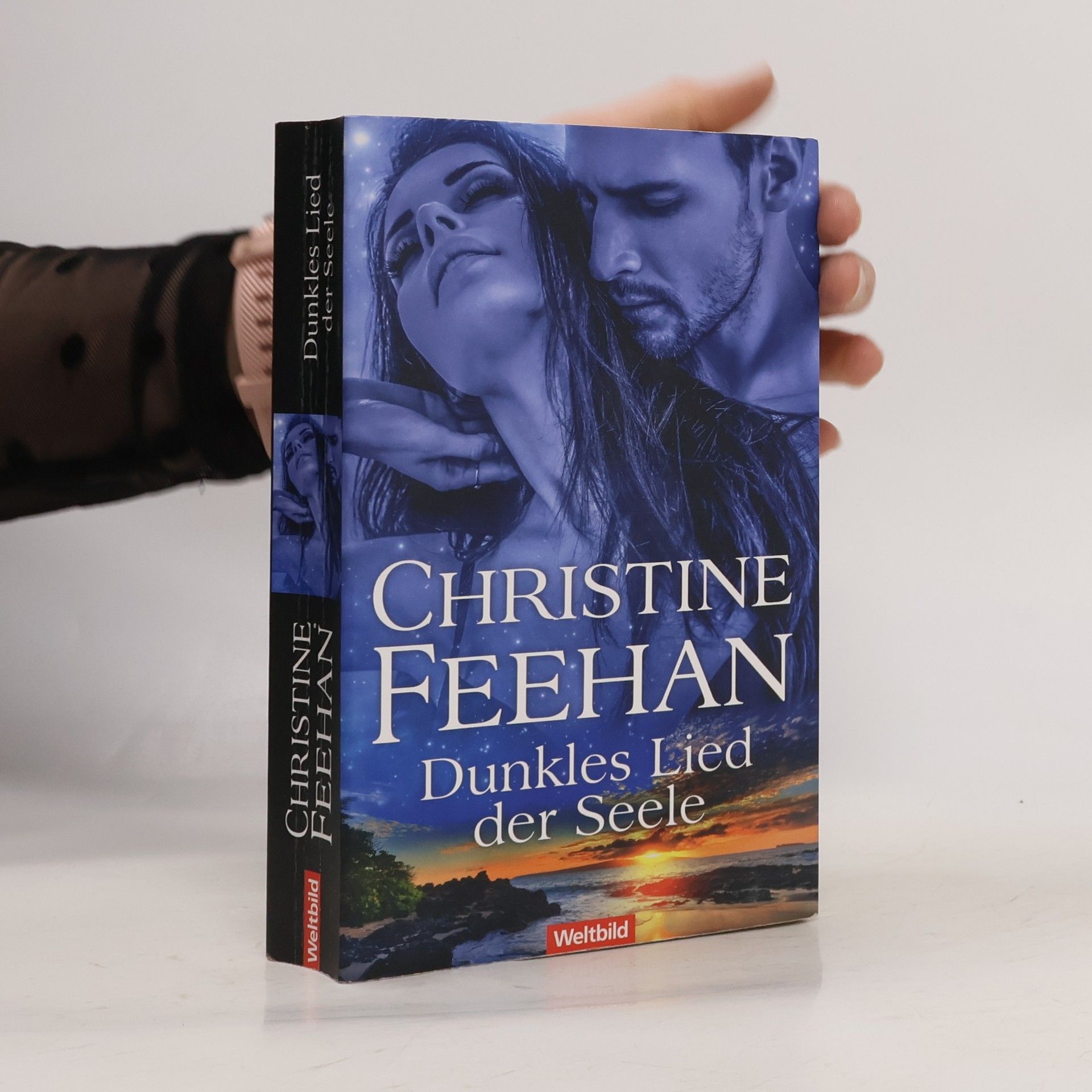 Christine Feehan Dunkles Lied der Seele