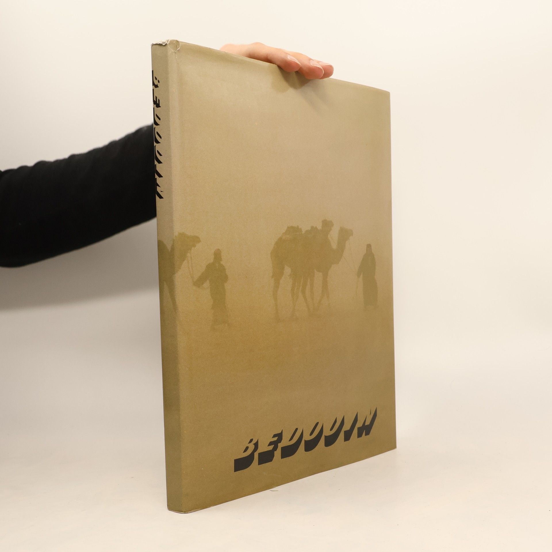 Wayne Eastep Bedouin