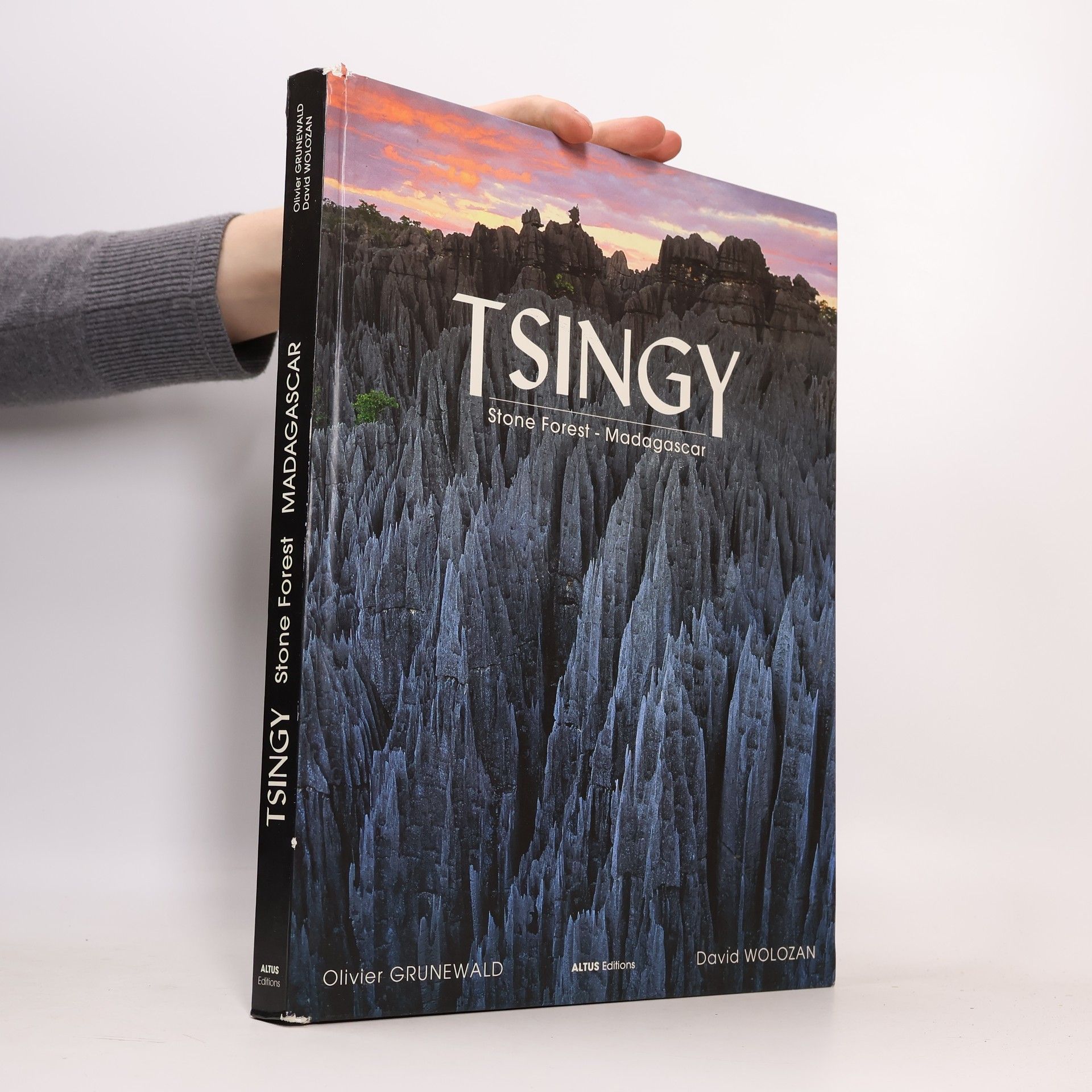 Tsingy - Stone Forest - Madagascar