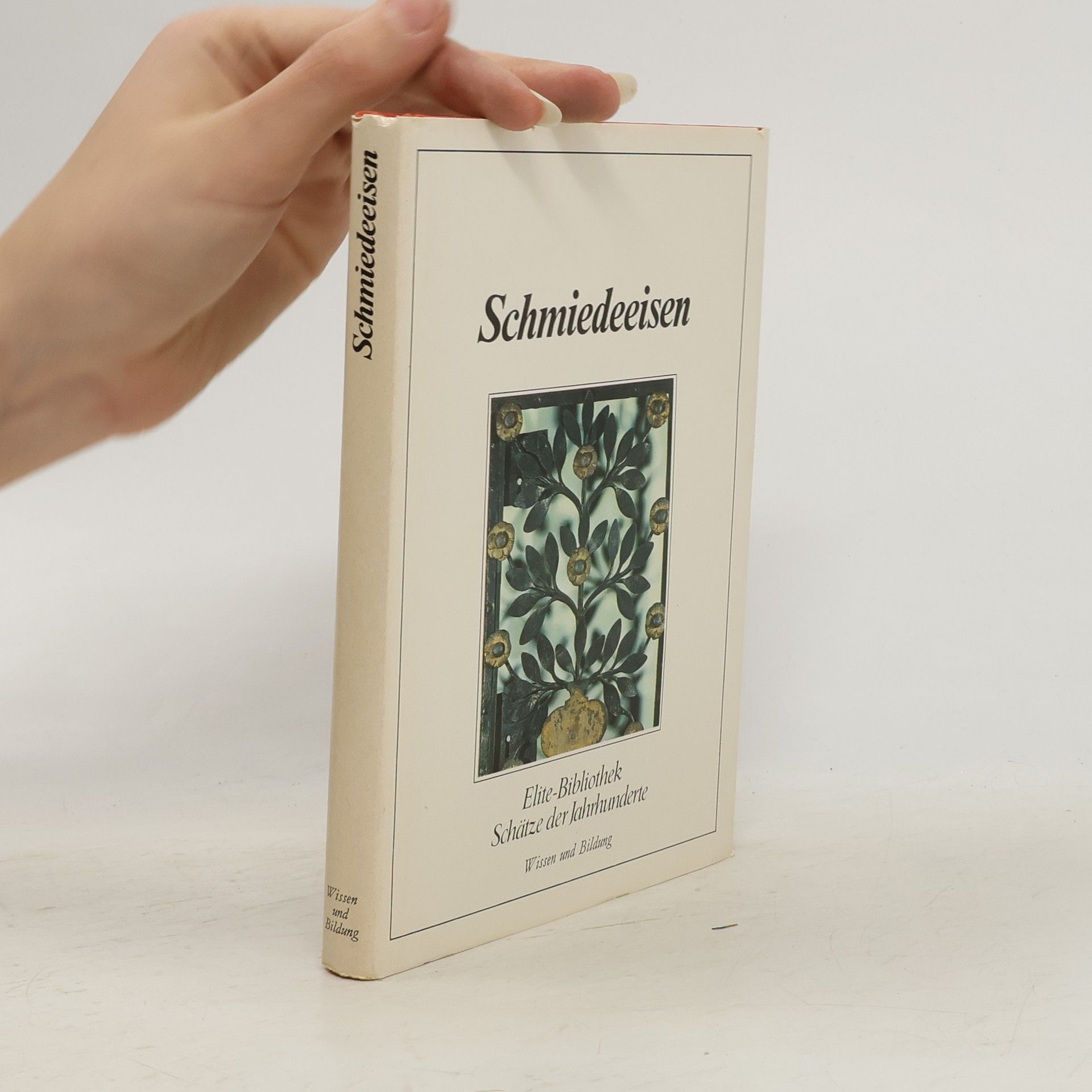 Autorenkollektiv Schmiedeeisen