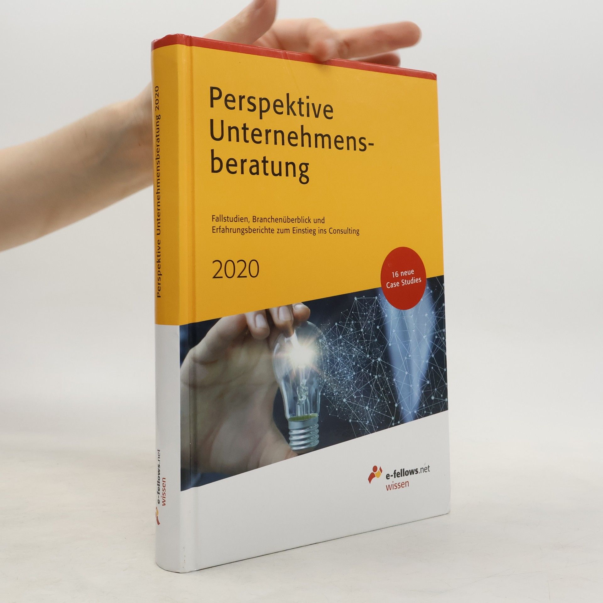 Sarah Kriegbaum e-fellows.net Wissen: Perspektive Unternehmensberatung 2020