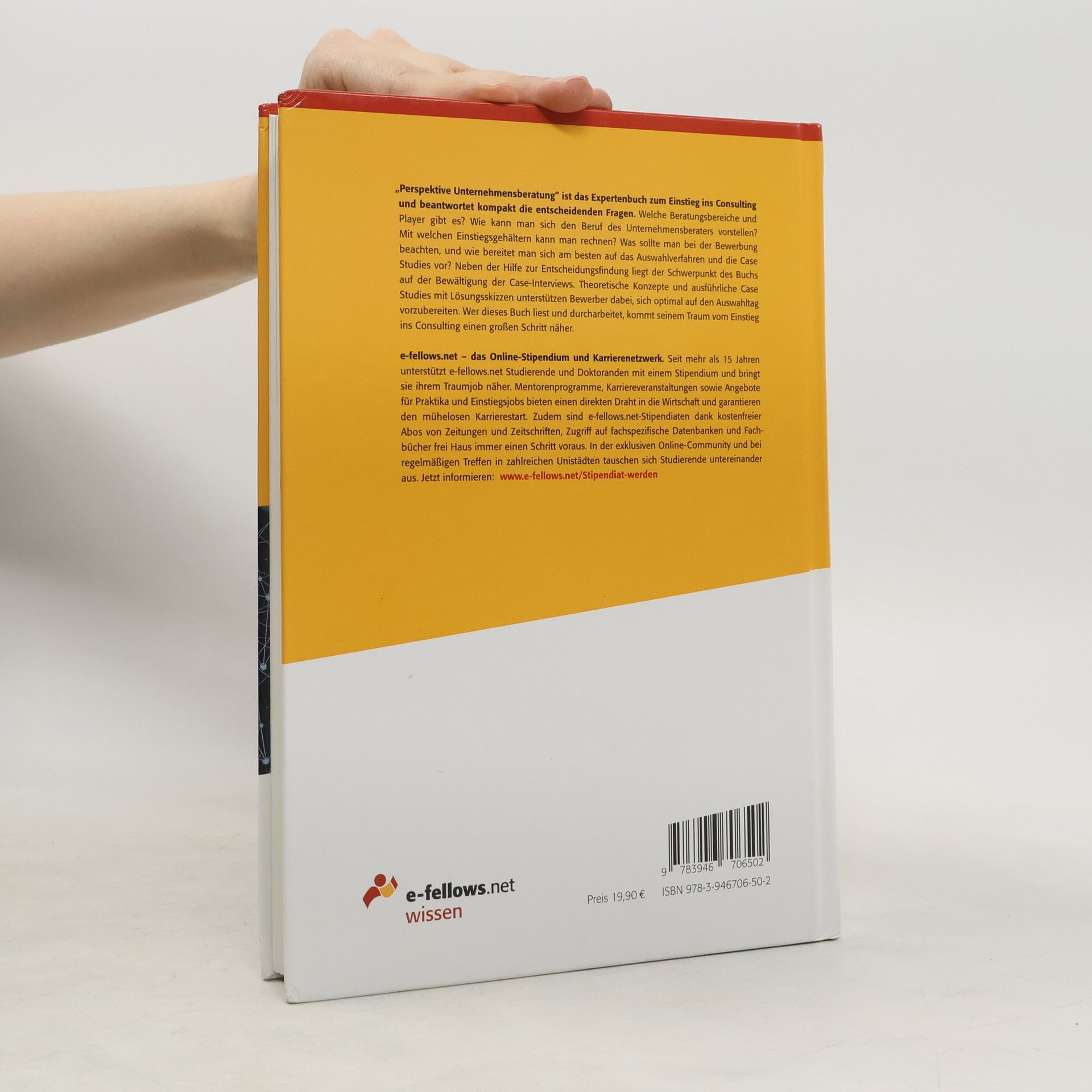 Michael Hies e-fellows.net Wissen: Perspektive Unternehmensberatung 2020